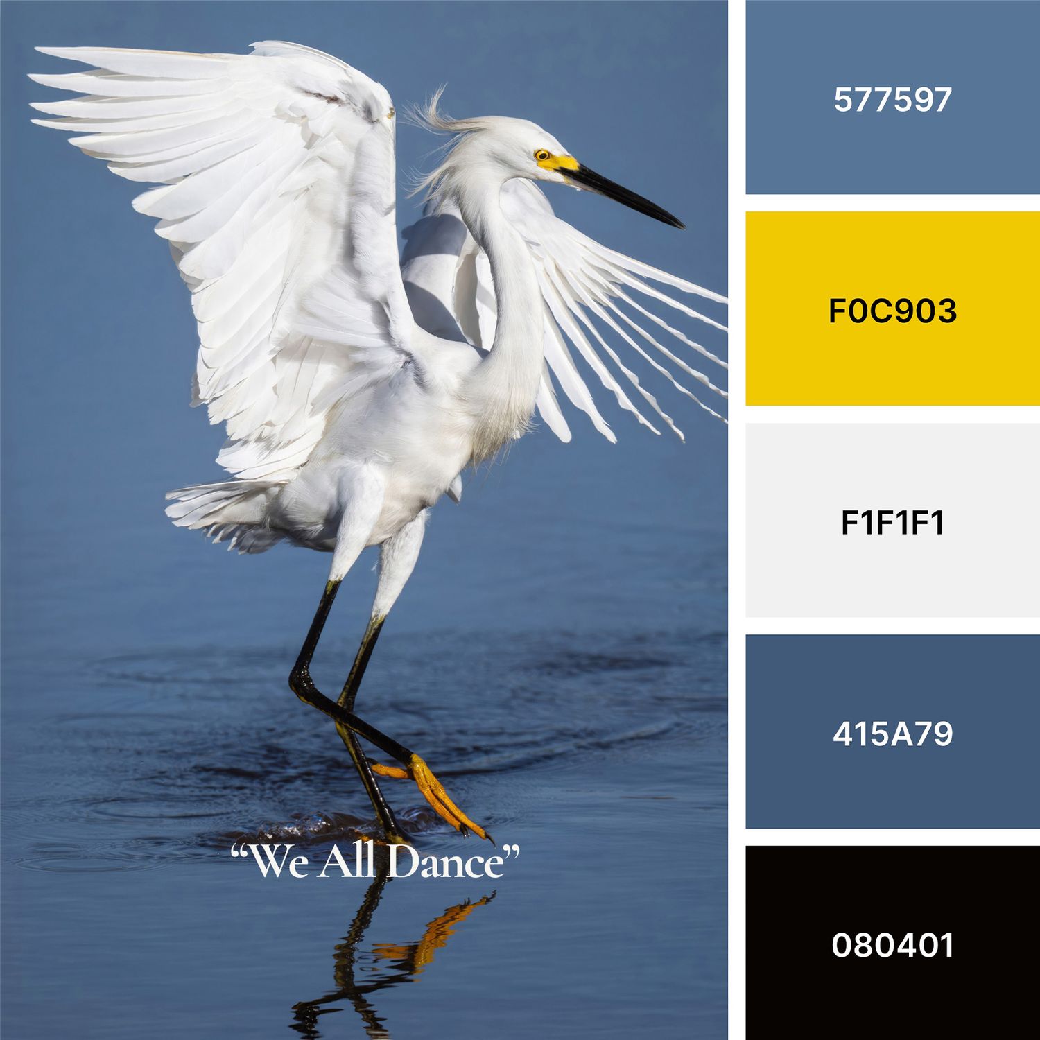 Hex codes for the colors found in the snowy egret photo gracing the cover of the Monthly Dispatch for August 2026 by Susan Evans Photography
