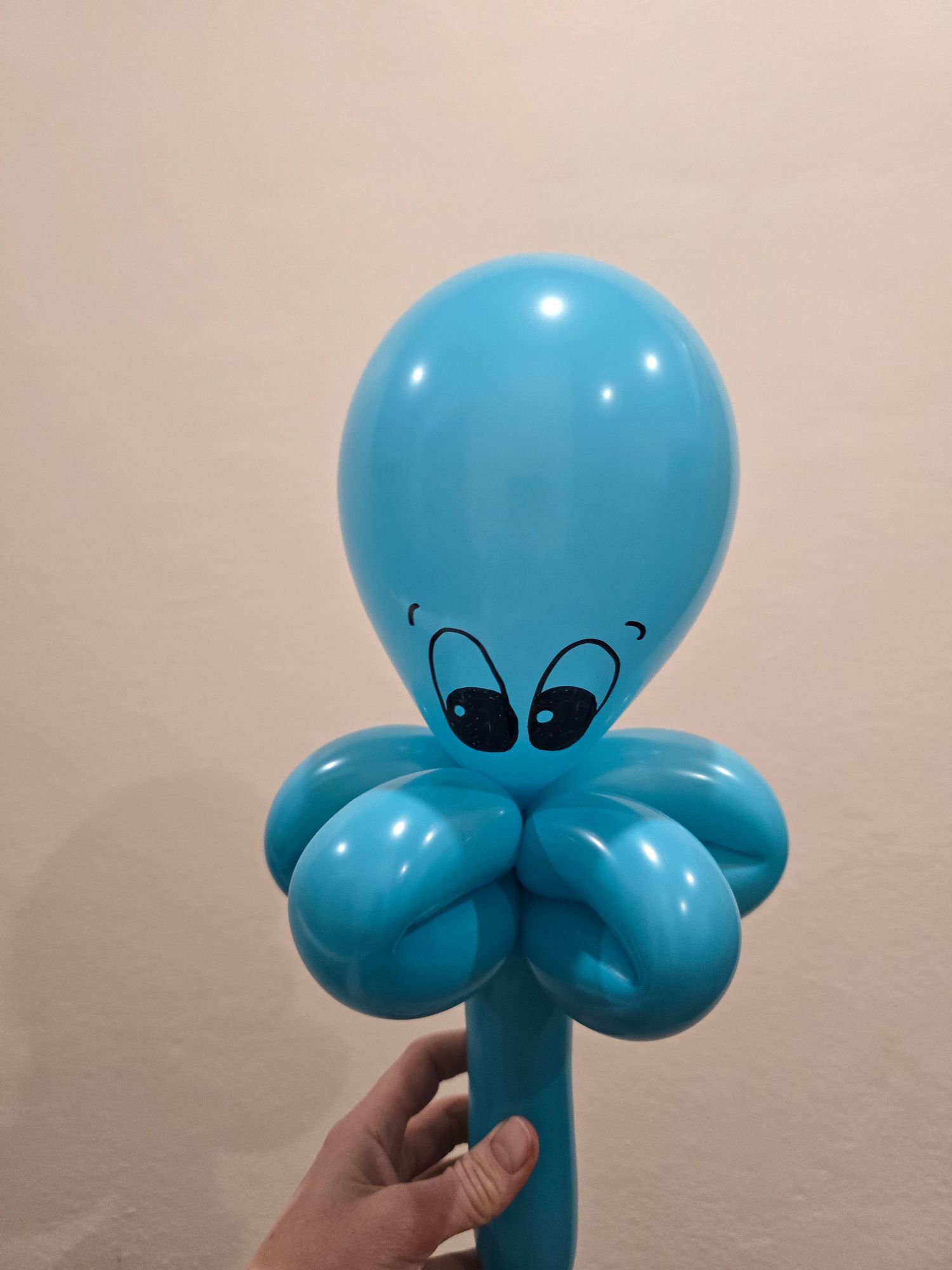 Balloon Twisting Characters
Balloon Art
Balloon Stacks