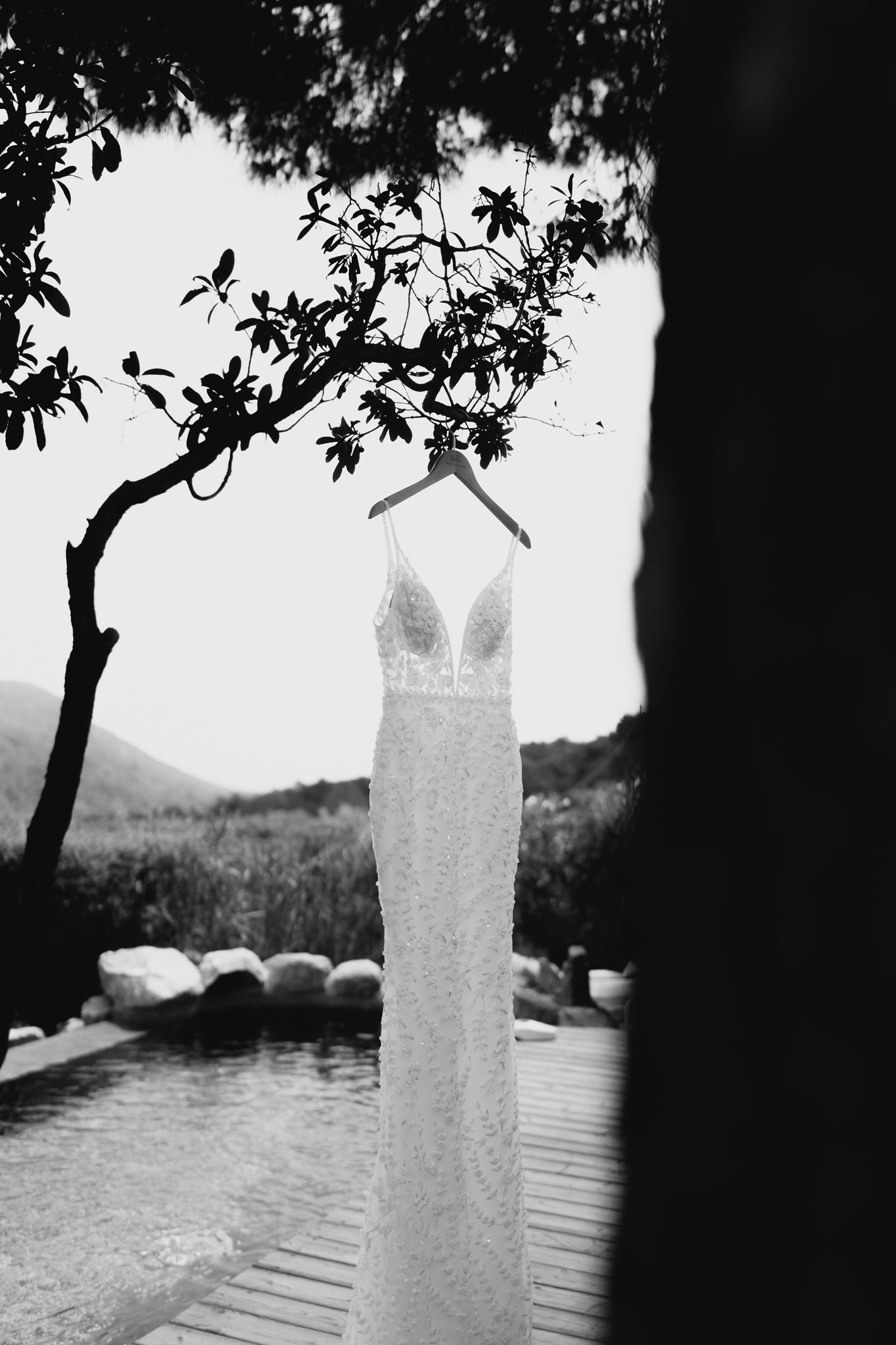 Black and white photo of a lace wedding dress hanging from a tree branch beside a pool with mountain views.