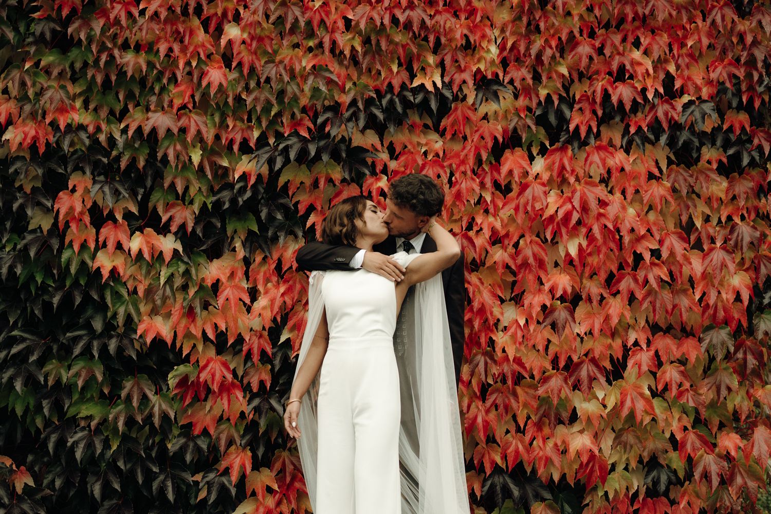 A couple shares a romantic kiss in front of a vibrant red autumn ivy wall, bride in white jumpsuit.