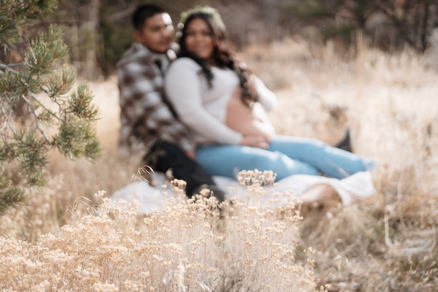 Couple sitting together in a golden field during a maternity photoshoot, surrounded by dry grass and pine trees.