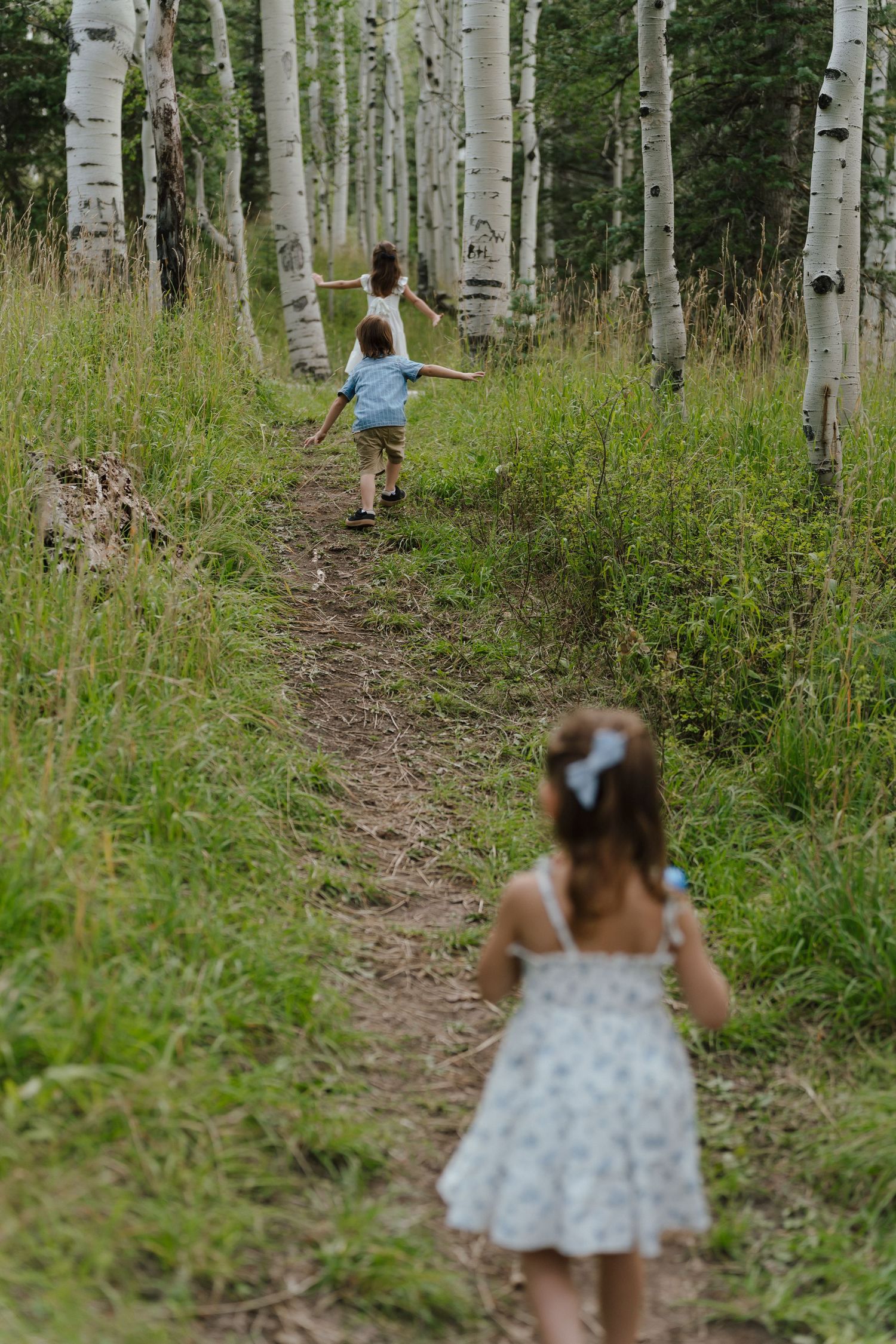 Three children running along a dirt trail through a grove of aspen trees in a lush green forest.