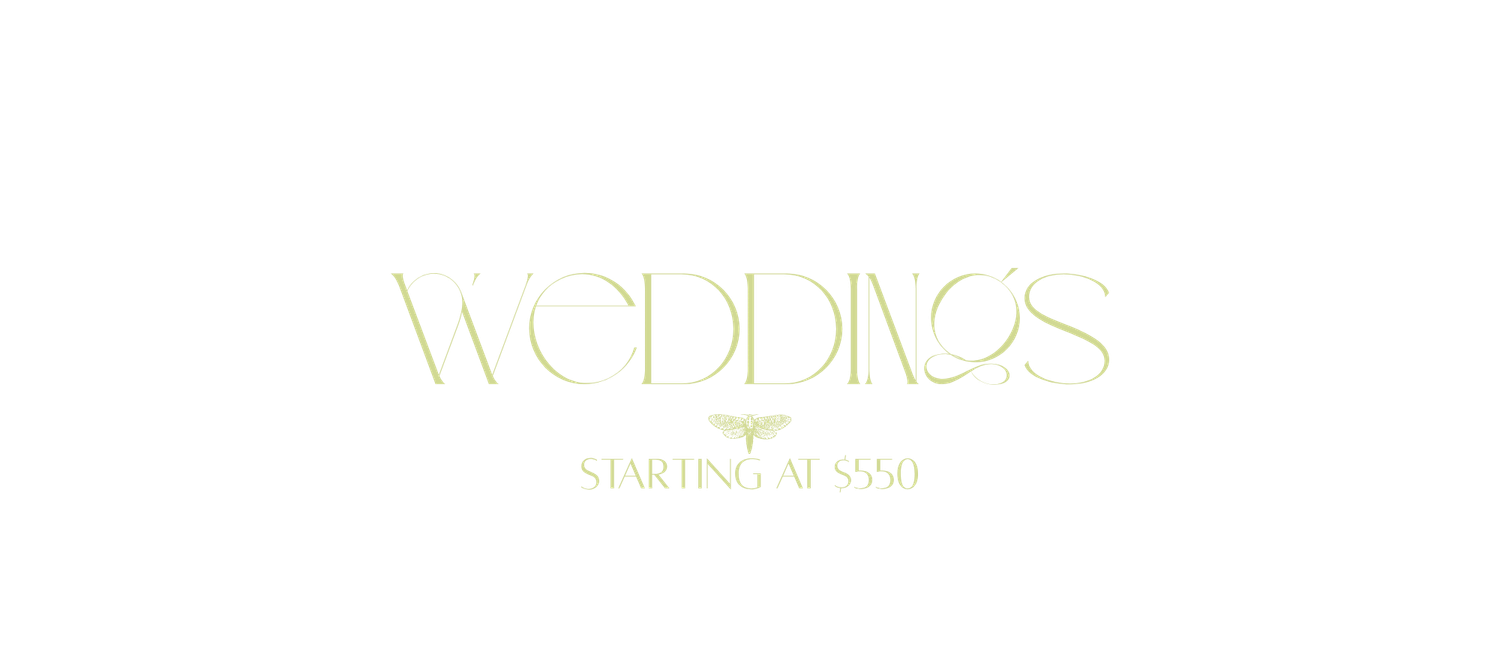 Elegant wedding photography services starting at $550, featuring stylish gold script text on a clean white background.