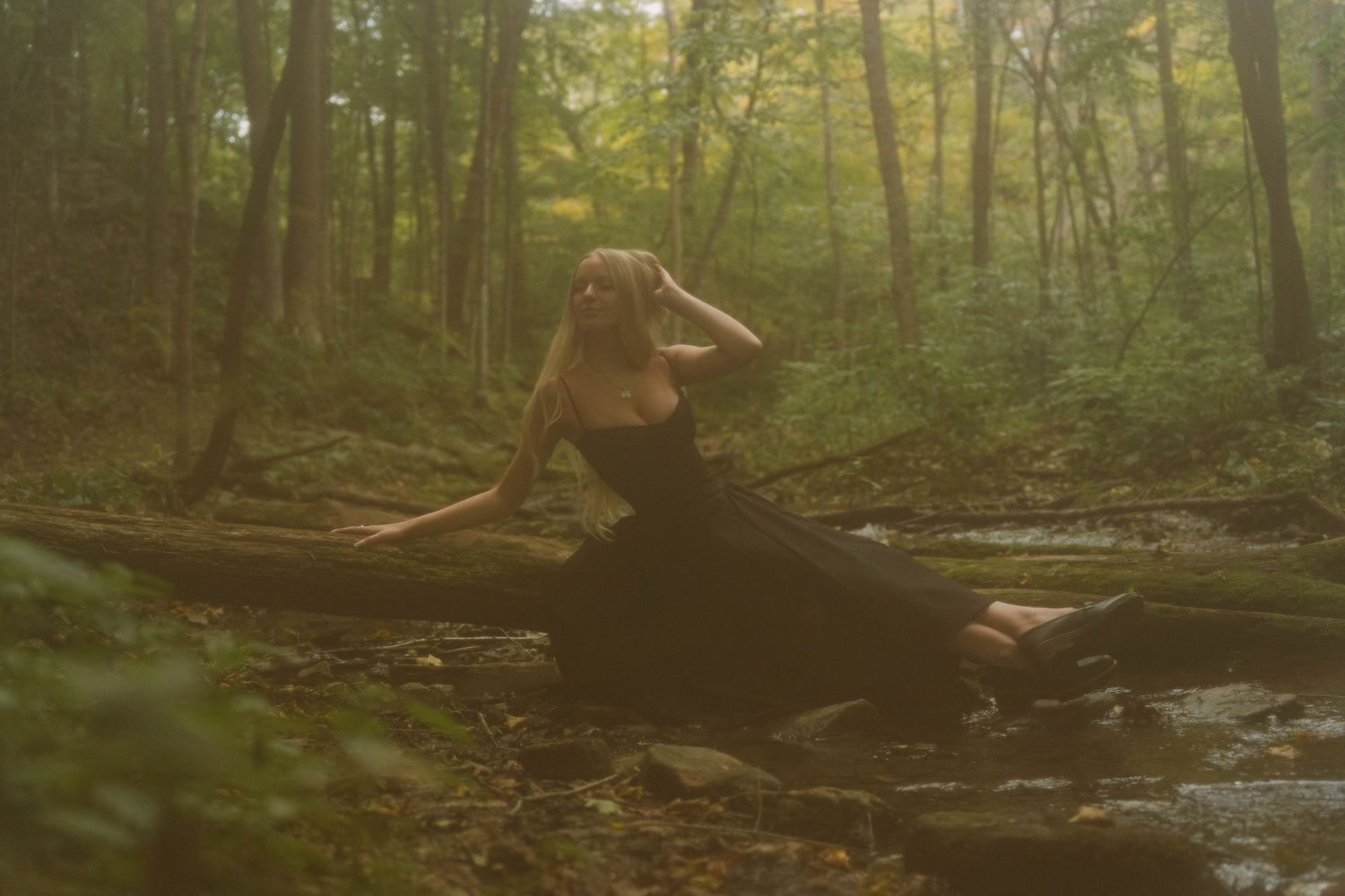 blonde haired girl sitting on tree limb across stream in black dress touching her hair in Madison, Wisconsin