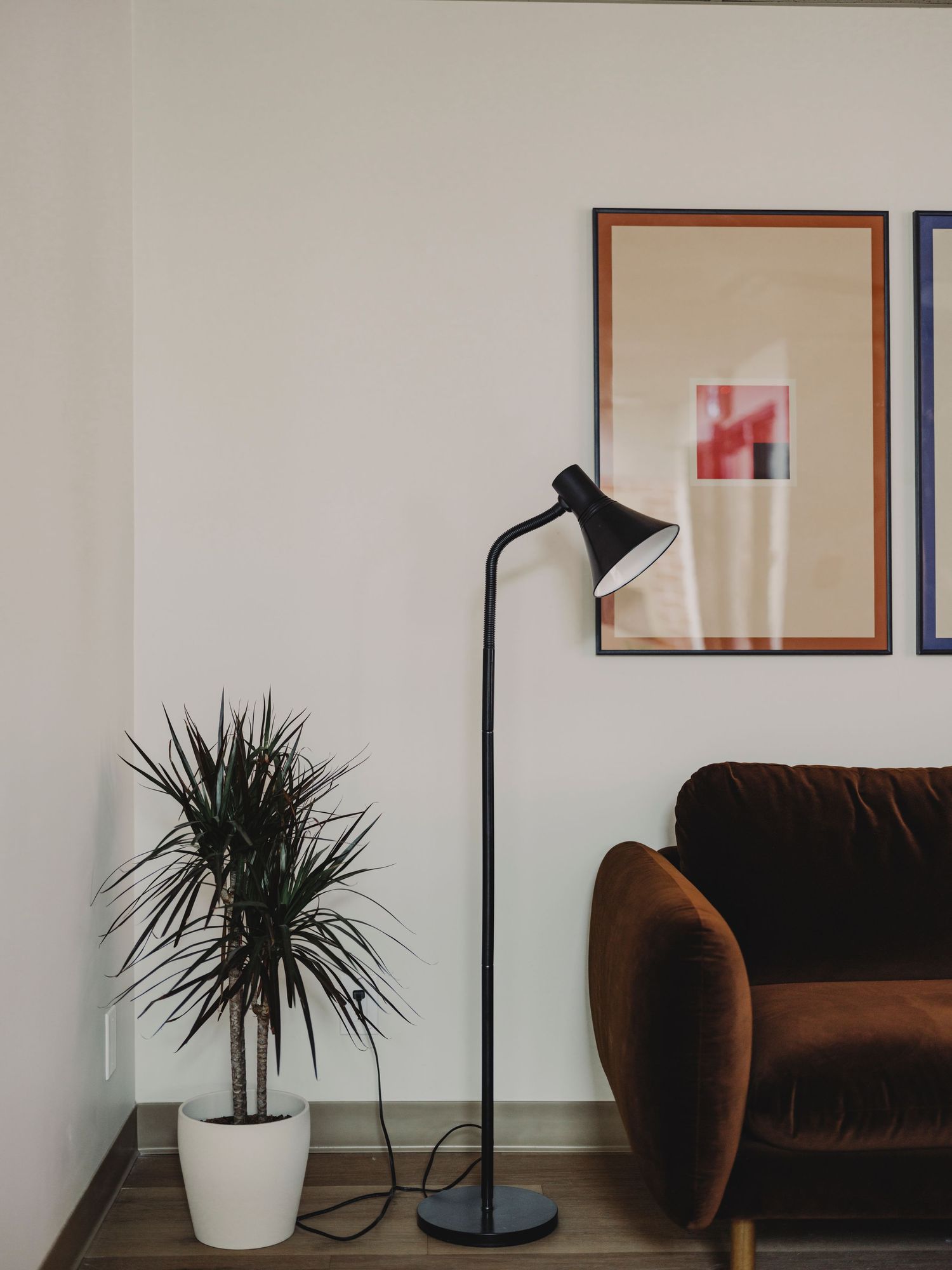 Minimalist living room corner with black floor lamp, potted dracaena plant, and rust velvet sofa.