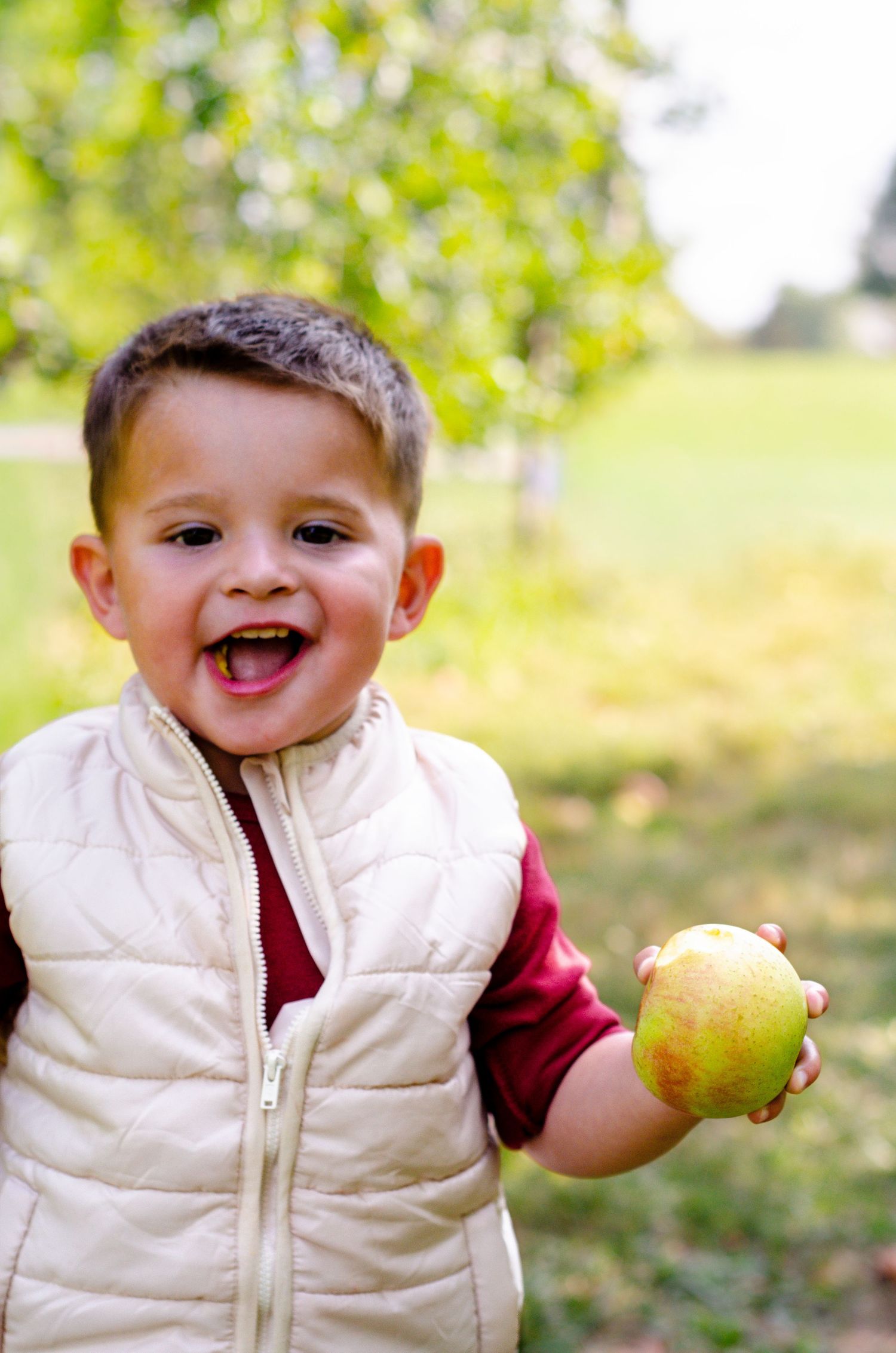 Toddler in white vest holding an apple while smiling outdoors in autumn. Family photos by KM Conceptions Photography in Columbus, OH.