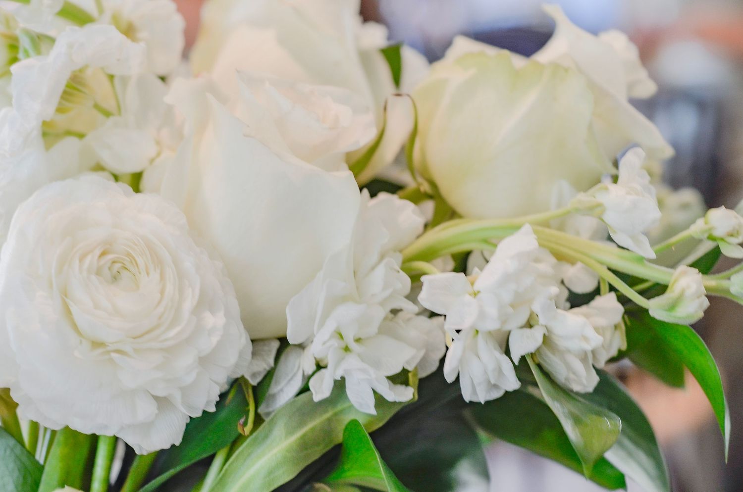 White roses and floral arrangements in elegant wedding decor.