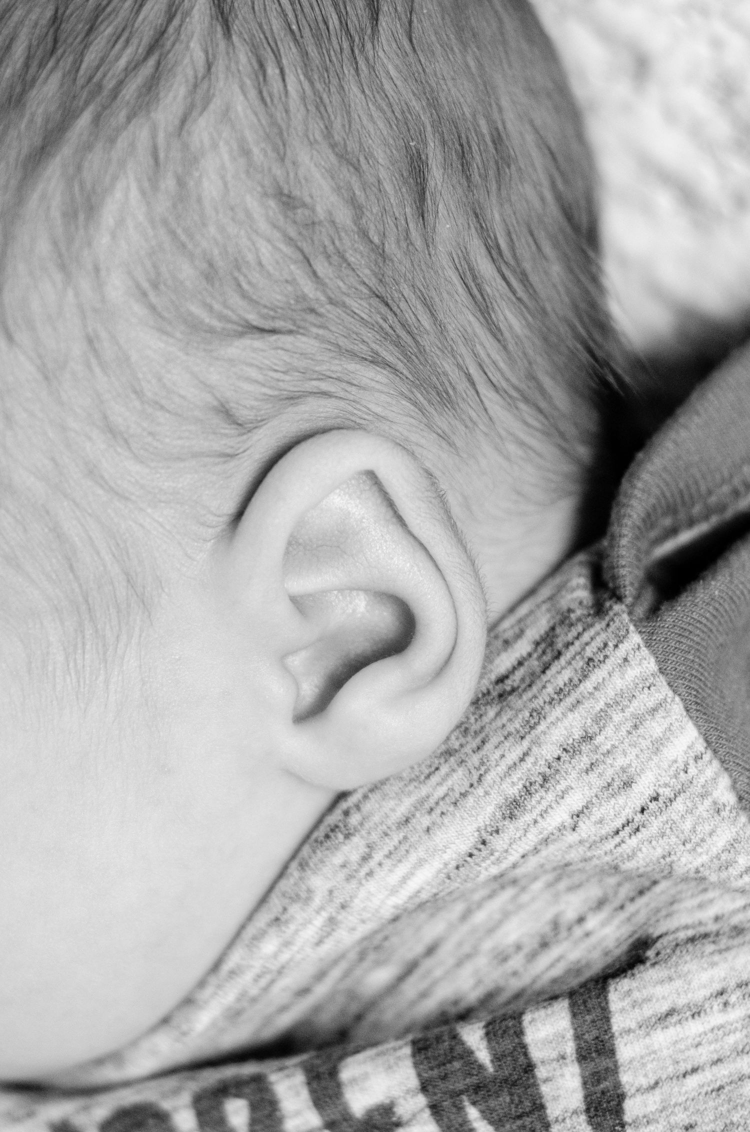 Black and white close-up of soft hair and ear detail. Newborn photography in Columbus, OH