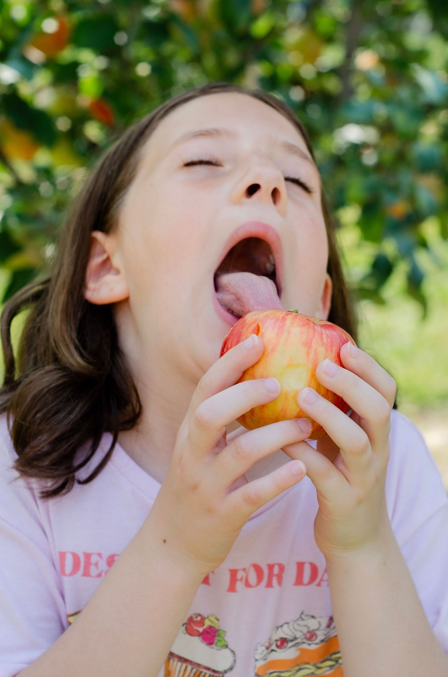 Child taking big bites of fresh picked apples in an orchard. Family photos by KM Conceptions Photography in Columbus, OH.