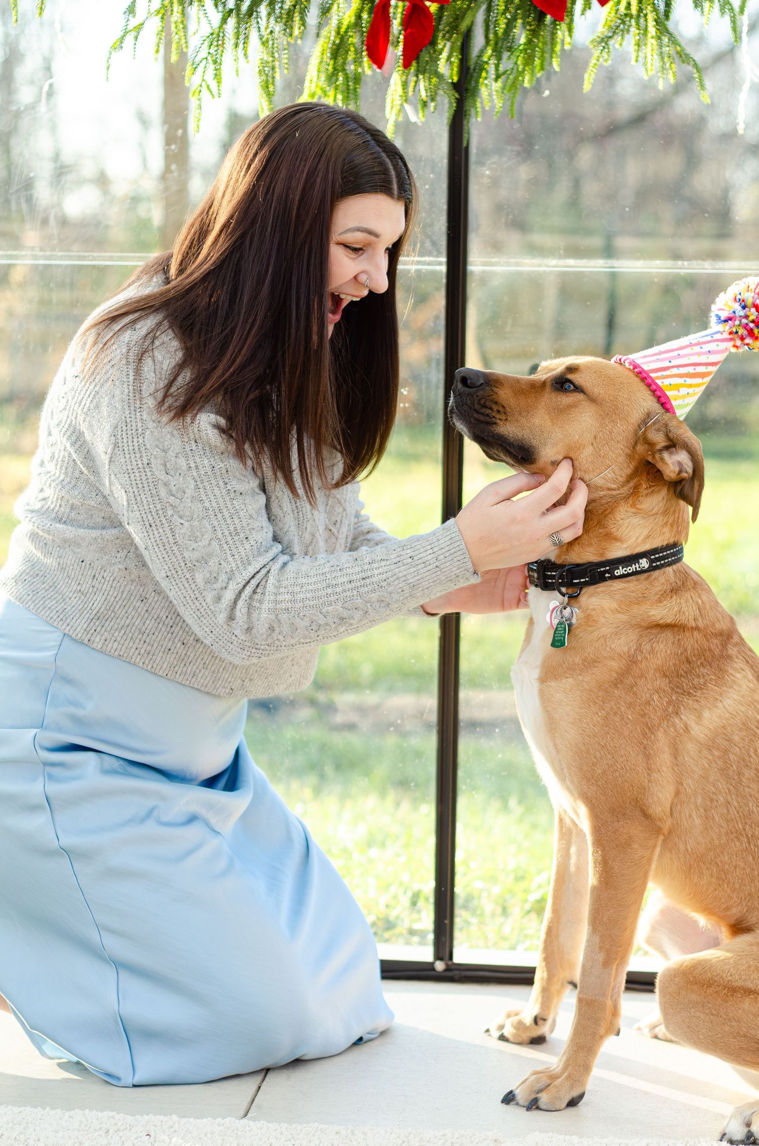 Playful interaction between dog and companion in a bright sunlit room. Photos by KM Conceptions Photography.