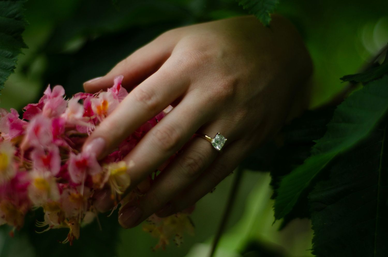 Close-up of engagement ring on hand touching pink flowers in garden setting.