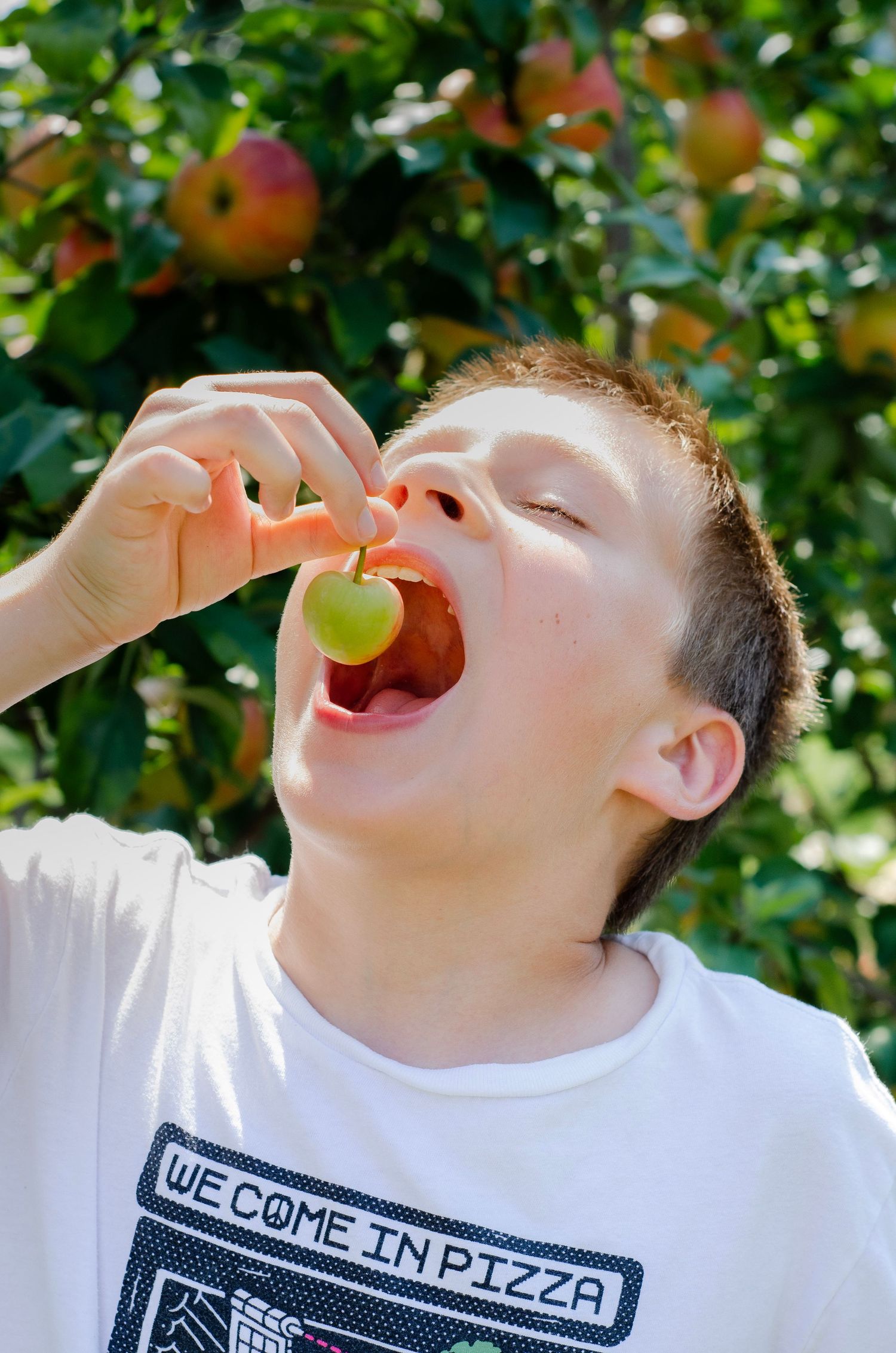 Person in white t-shirt enjoying fresh apples in an orchard on a sunny day. Family photos by KM Conceptions Photography in Columbus, OH.