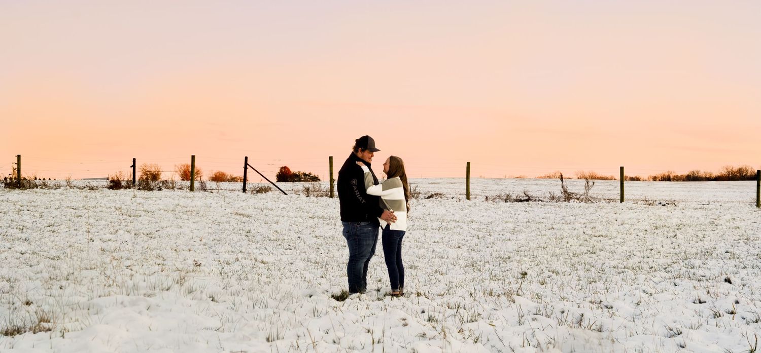 Snow covered field at sunset with fence posts stretching into the distance.