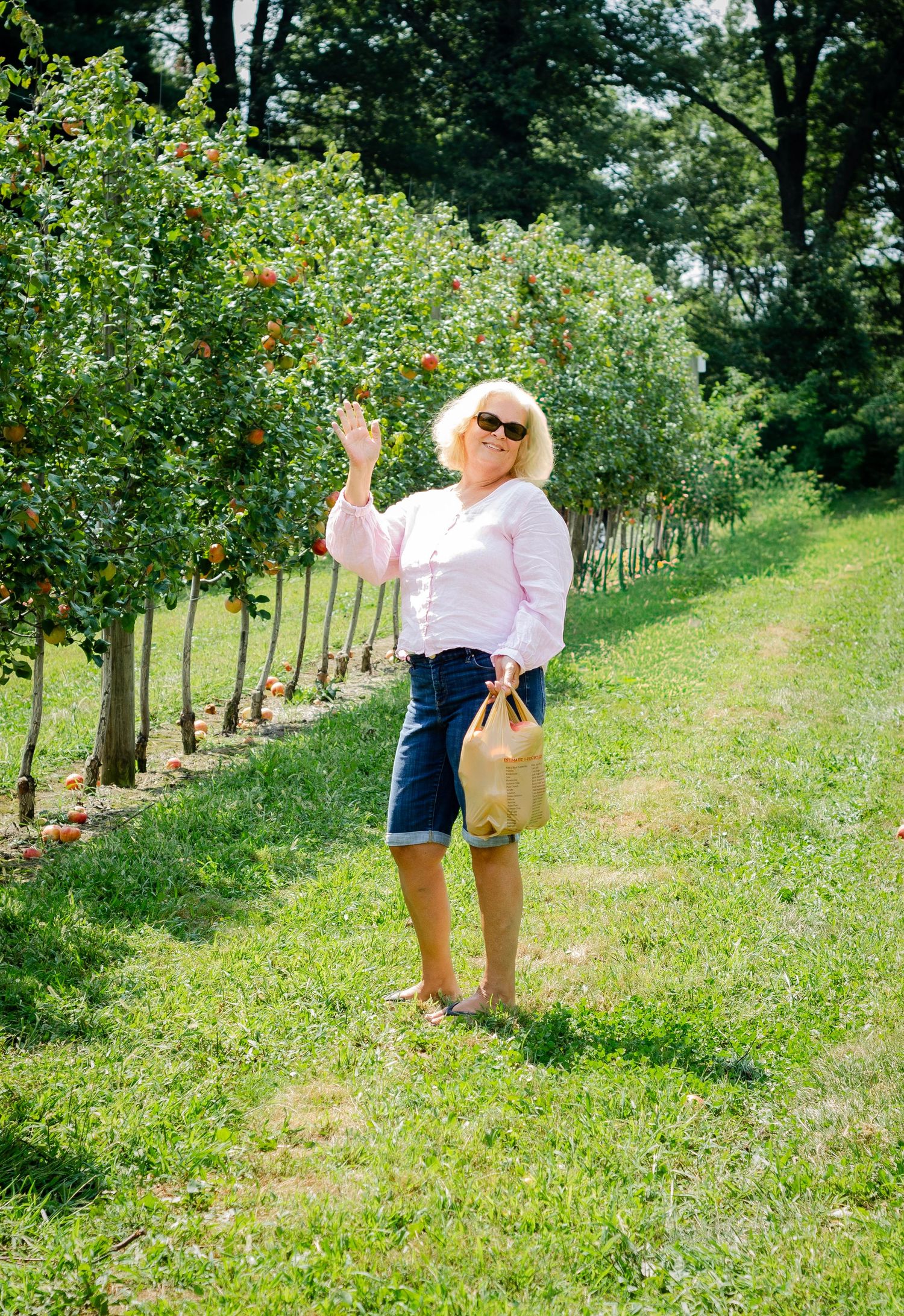 Grandma walking through rows of apple trees in a sunny orchard. Family photos by KM Conceptions Photography in Columbus, OH.