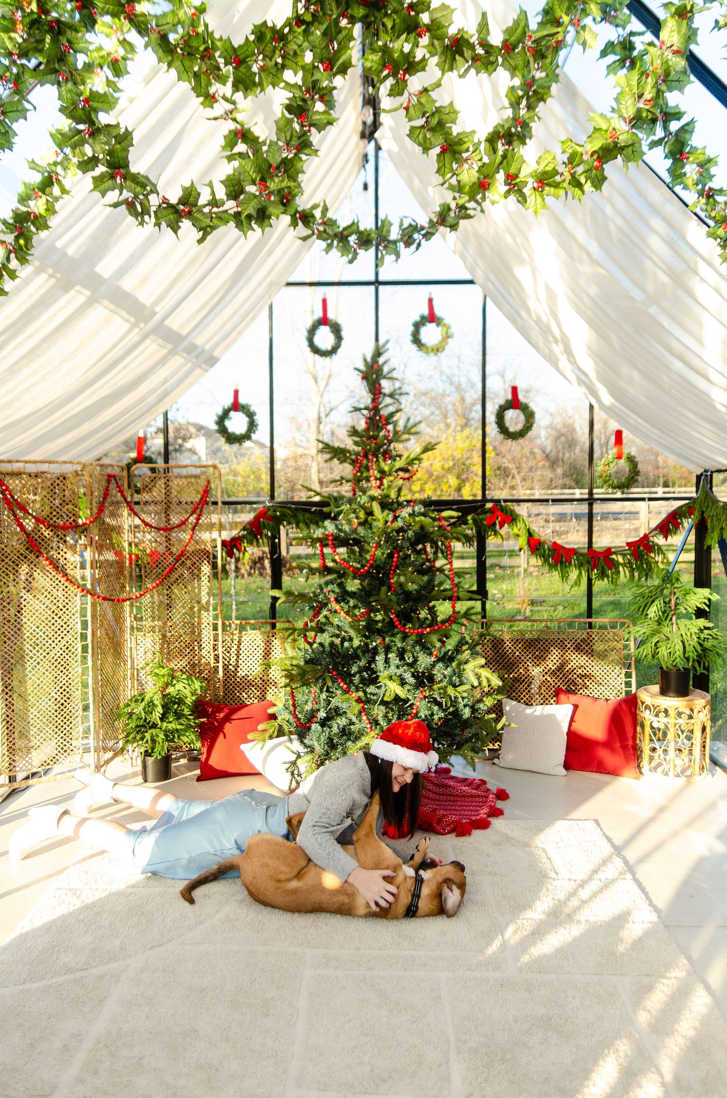 Sunlit greenhouse with Christmas decorations and wreaths features a relaxed dog on white furniture. Photos by KM Conceptions Photography.