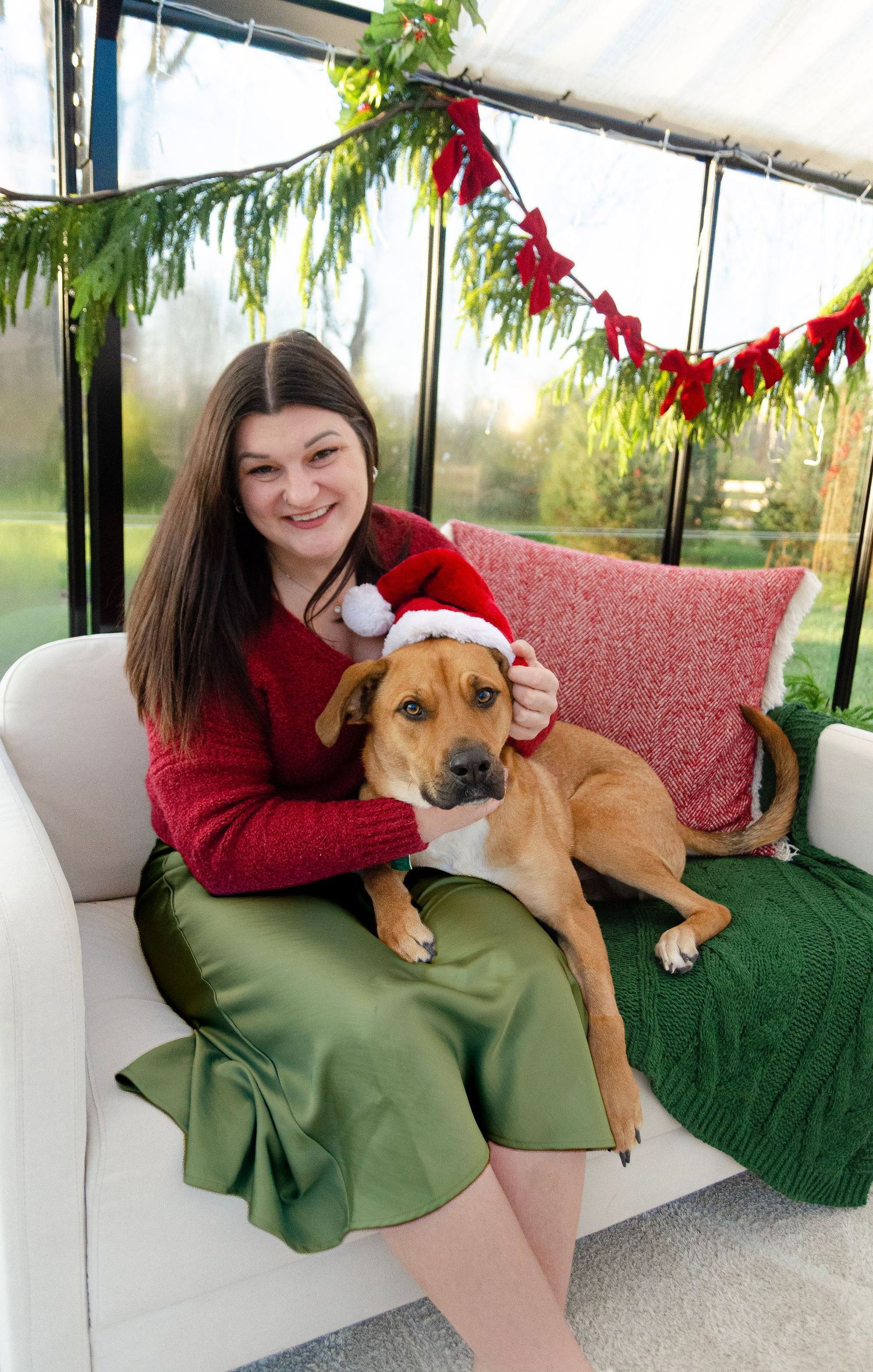 Dog lounges on owner in a sunlit conservatory decorated for Christmas. Photos by KM Conceptions Photography.