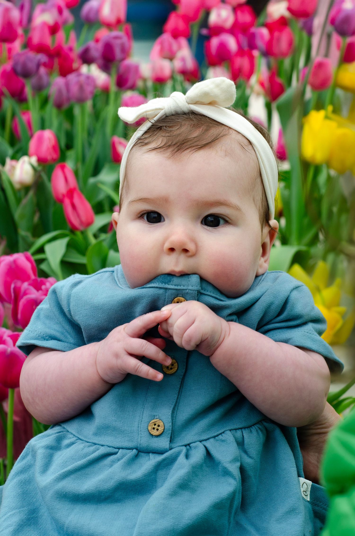 Close-up shots of a baby wearing a blue outfit and white headband among pink tulips.