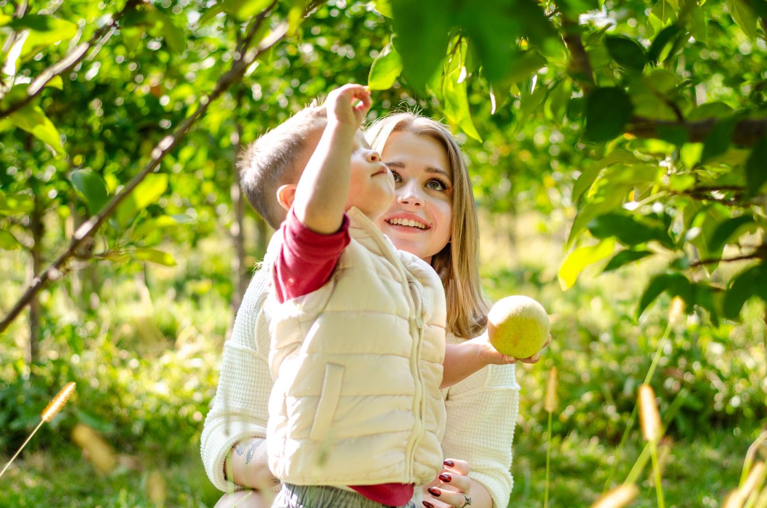 A person in white reaches up to pick apples from a tree branch. Family photos by KM Conceptions Photography in Columbus, OH.