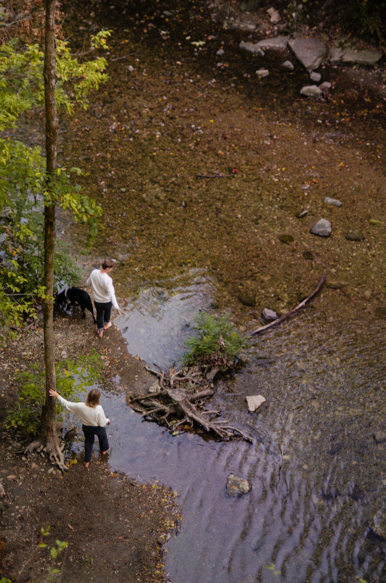 Stream flowing through rocky terrain with fallen branches and autumn leaves. Family photos by KM Conceptions Photography in Columbus, OH.