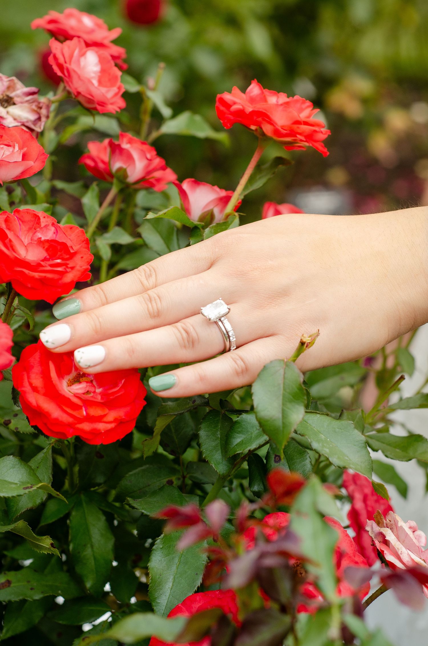 Manicured hand with wedding ring touches vibrant red roses in garden. Wedding photos by KM Conceptions Photography in Columbus, OH.