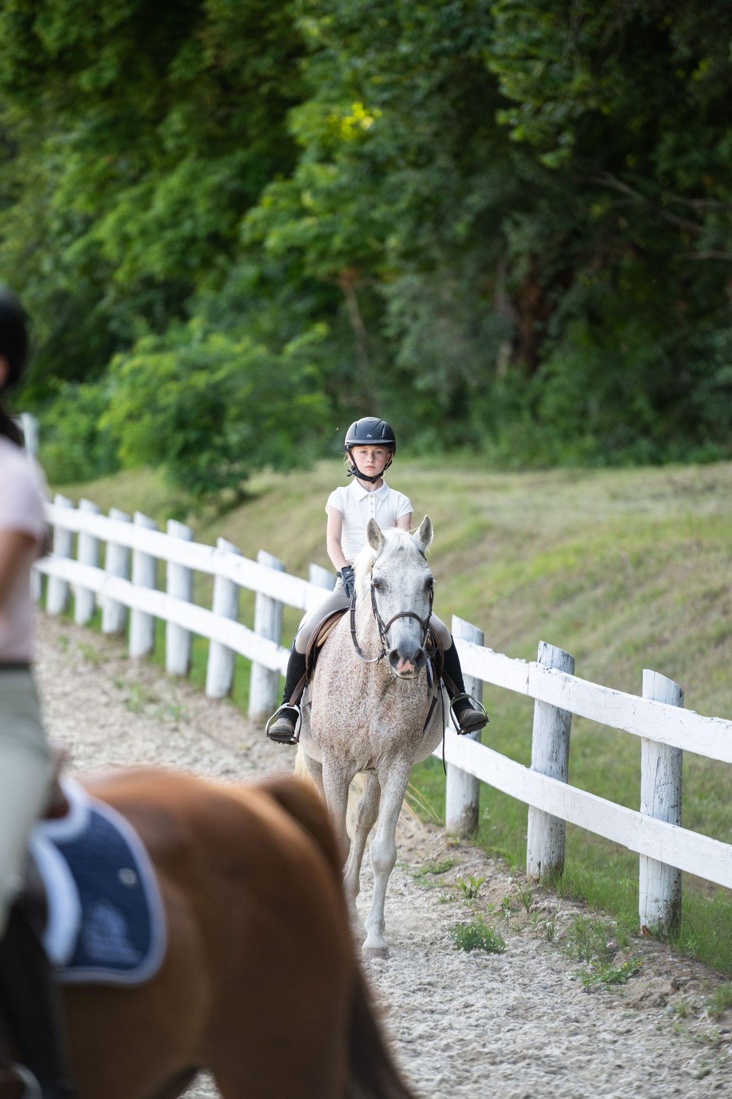 A rider on horseback follows a winding path alongside a white fence in a wooded area.