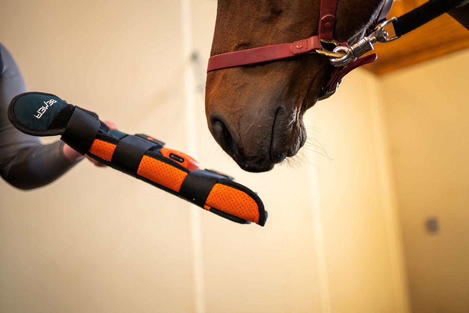 Close-up view of a black and orange horse grooming brush tool mounted on a wall next to equestrian tack.