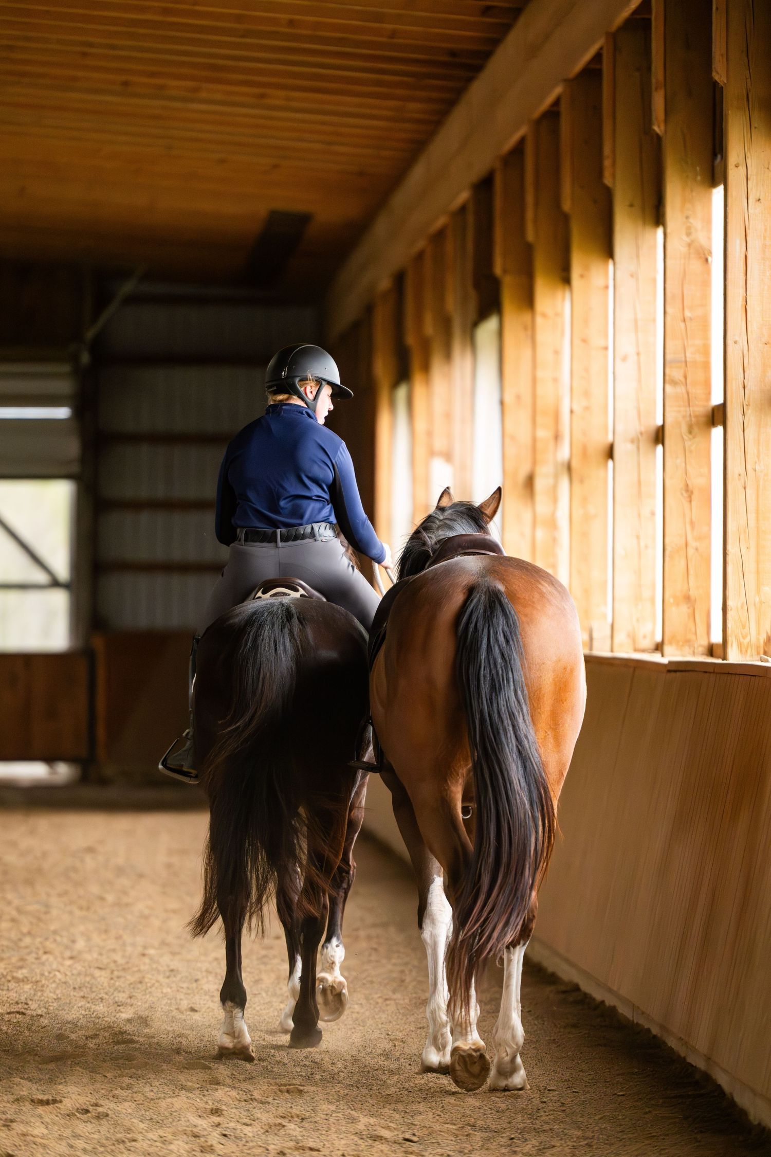 Equestrian rider in blue jacket and helmet riding brown horse inside wooden stable arena during training session.