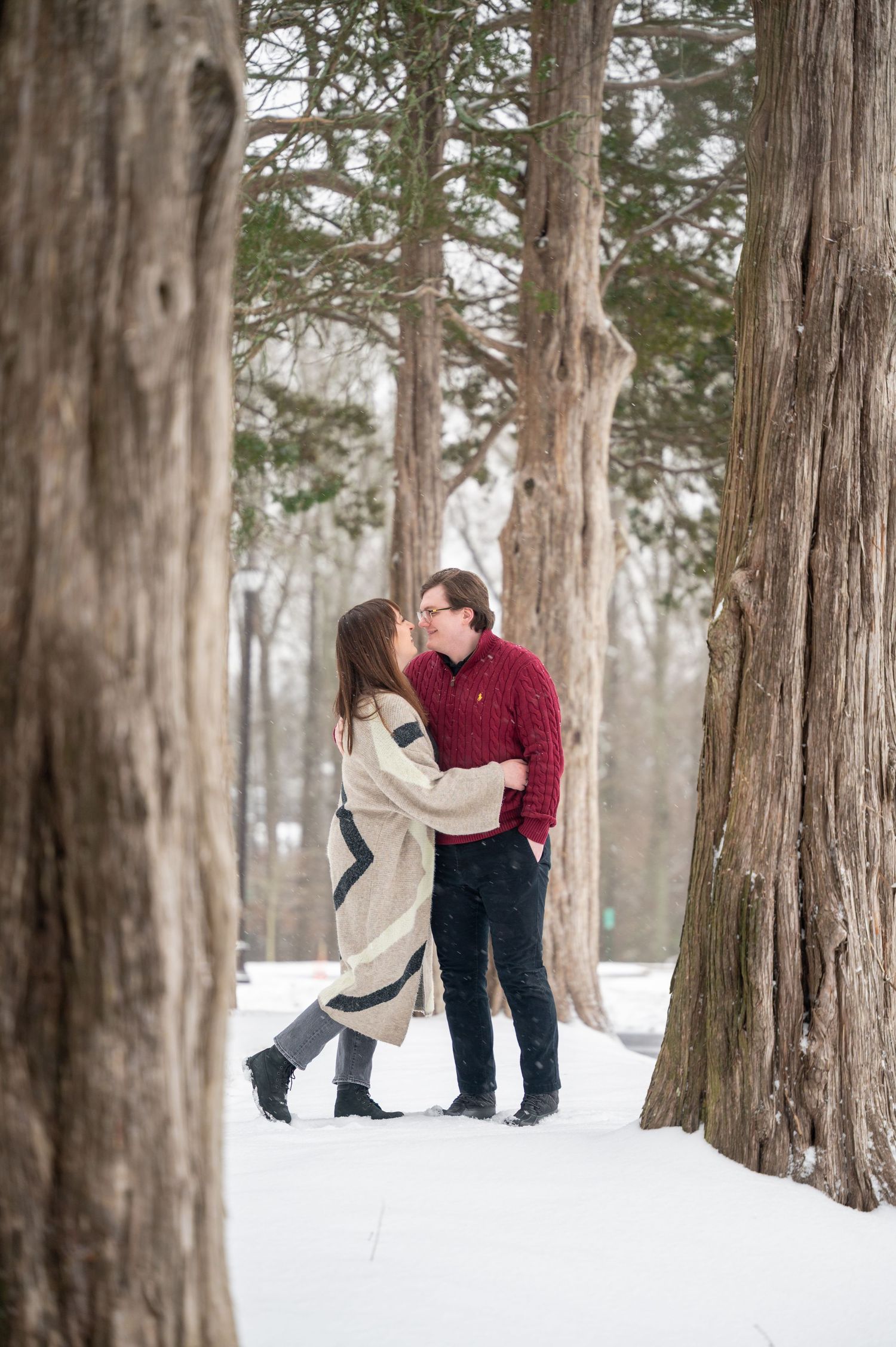 A romantic winter engagement photoshoot sequence in a snowy forest with tall trees.