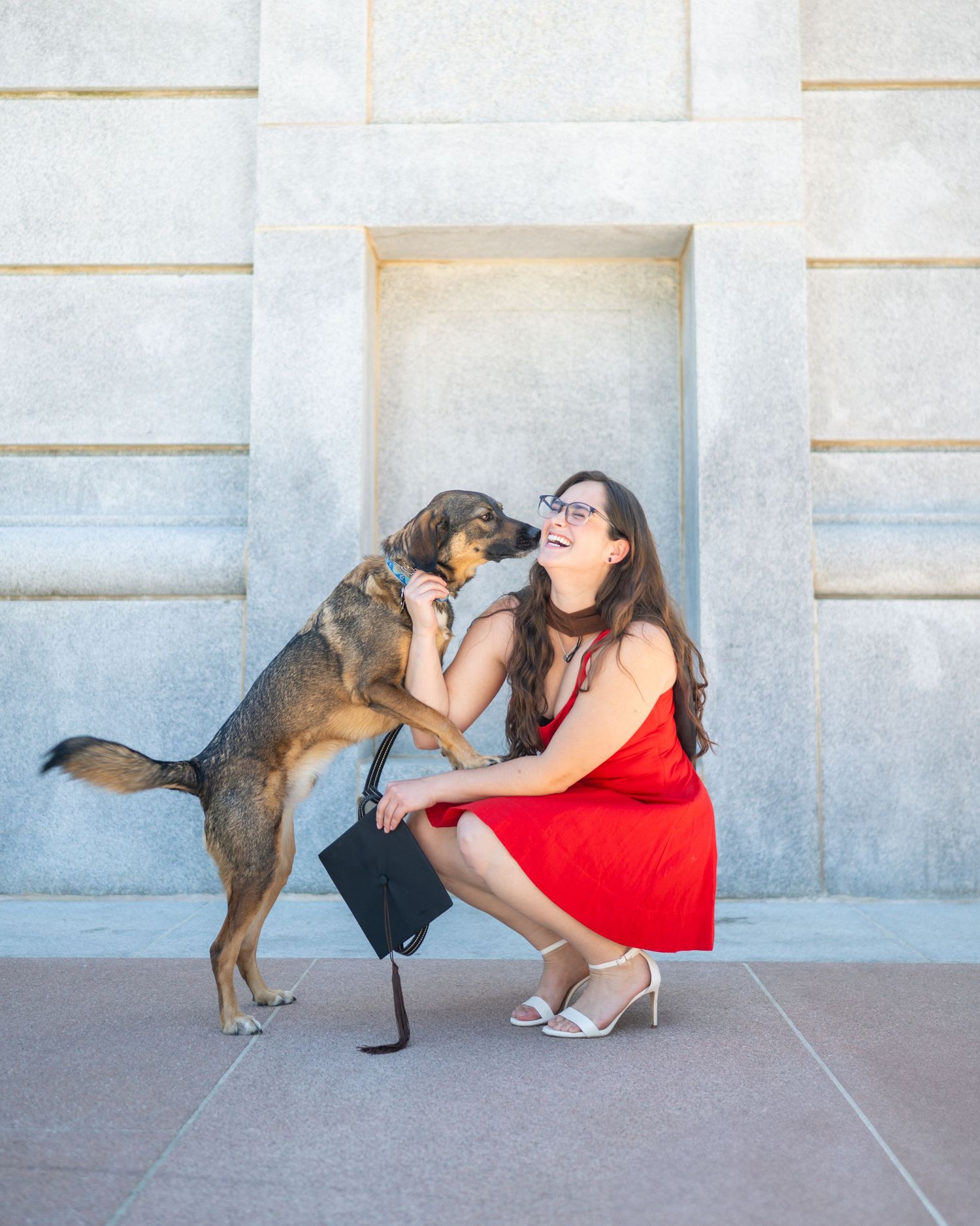A series of four photos showing a dog affectionately interacting with someone in a red dress against a light wall.