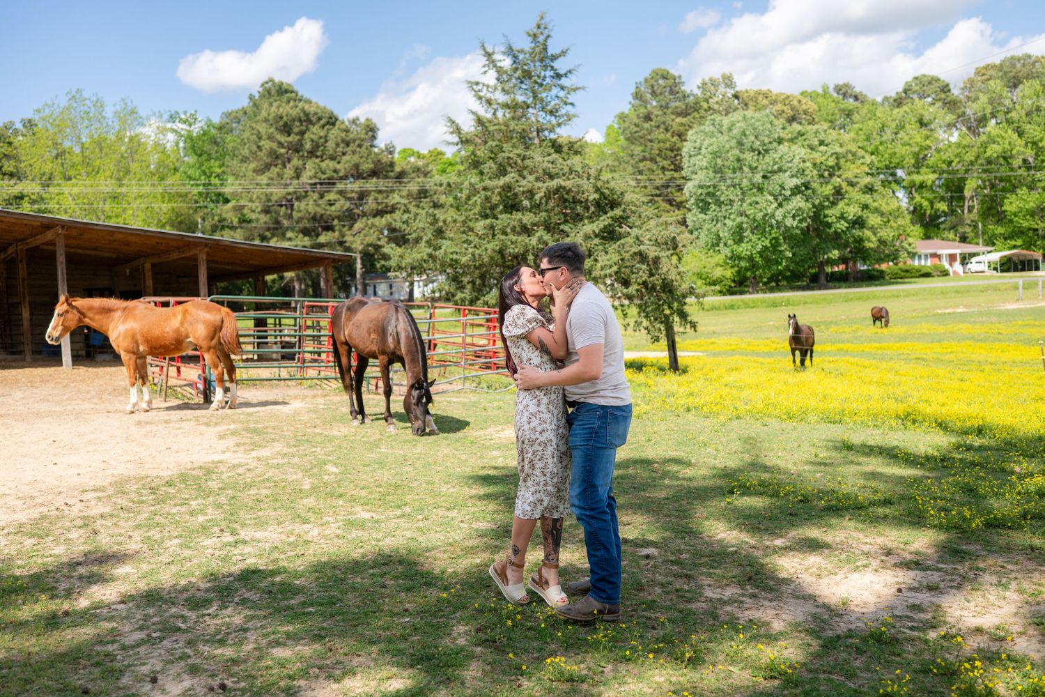 Couple takes engagement photos in a sunny field with horses and yellow wildflowers in the background.