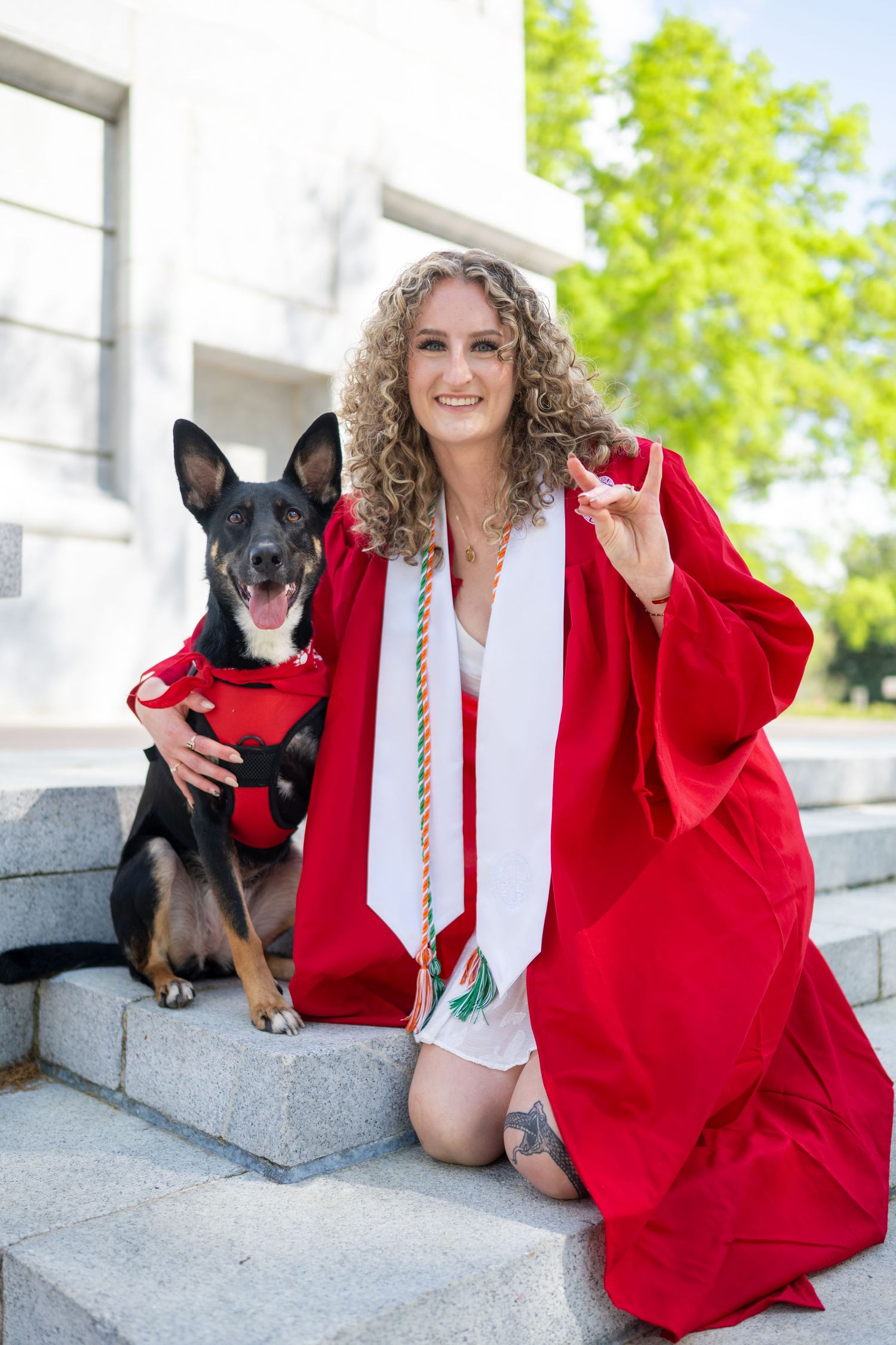 A graduation photo series featuring a graduate in red regalia posing with a black dog on stone steps outdoors.