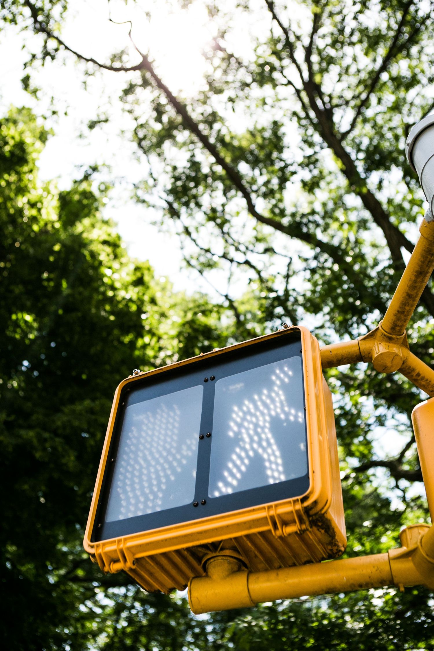 A yellow pedestrian walk signal showing a white walking figure symbol against lush green trees in bright sunlight.