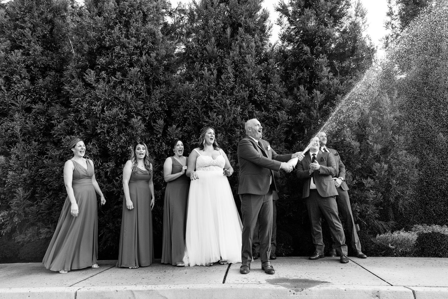 Wedding party celebrates with champagne spray in black and white photo beside tall evergreen trees.