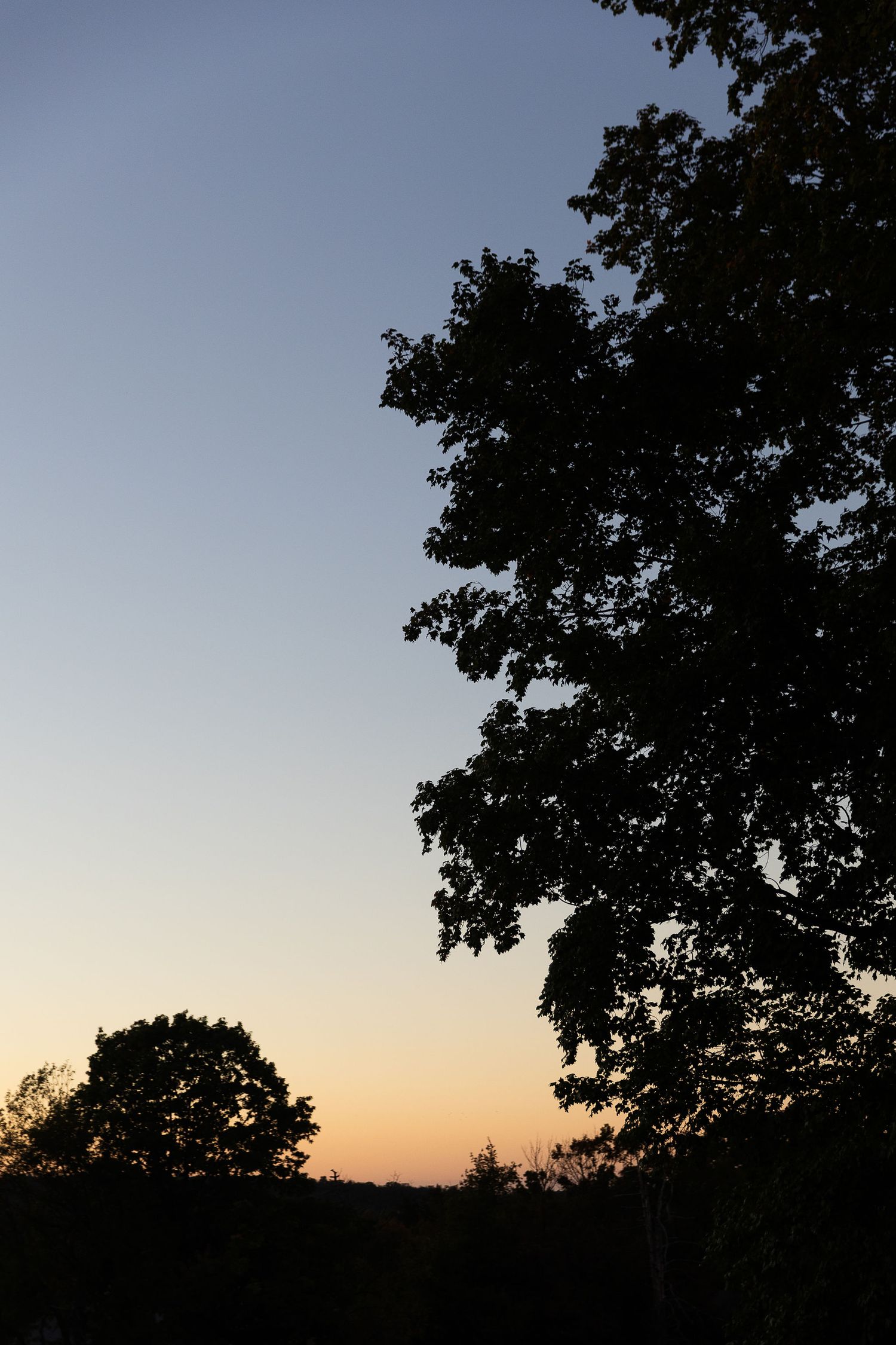 Silhouette of trees against vibrant orange and blue sunset sky at outdoor wedding venue.