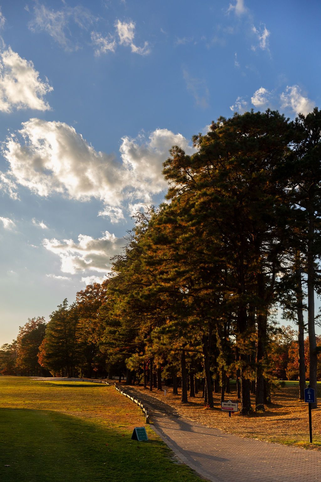 Scenic autumn park pathway lined with tall trees under blue sky with white clouds at golden hour.