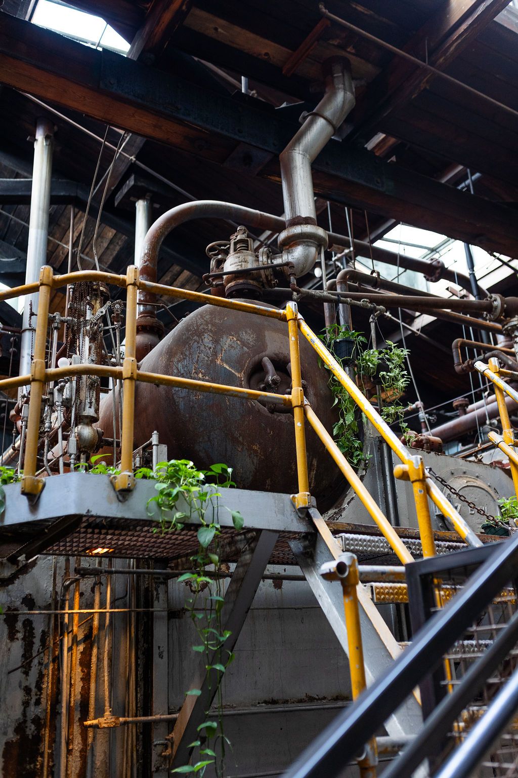 Abandoned industrial factory interior with rusty machinery, yellow railings, pipes, and green plants growing through decayed equipment.