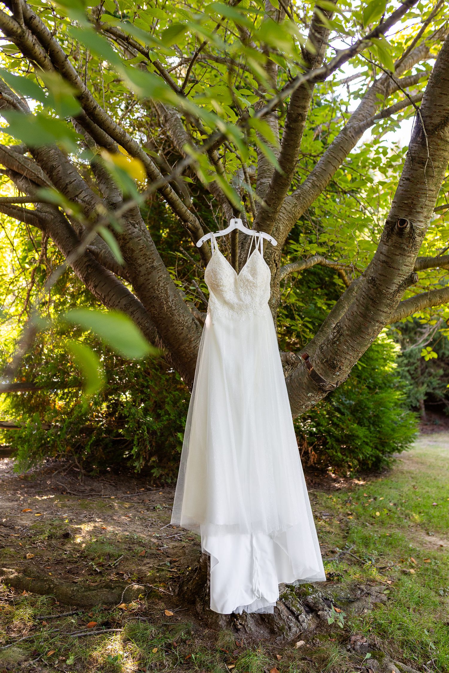 Elegant white lace wedding dress hanging on a hanger from a tree in a lush green garden setting.