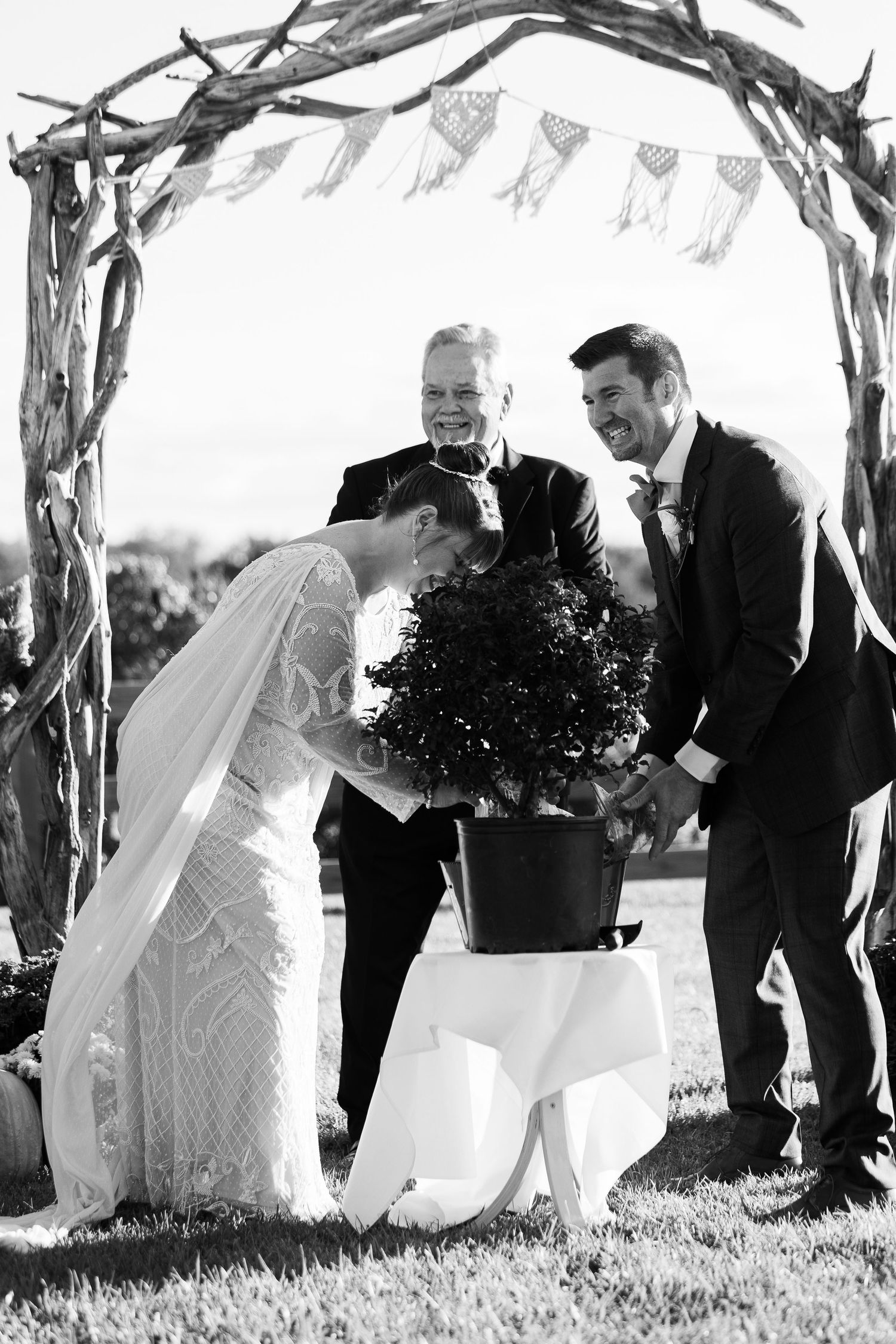 Black and white photo of bride and groom laughing while planting tree during outdoor wedding ceremony.