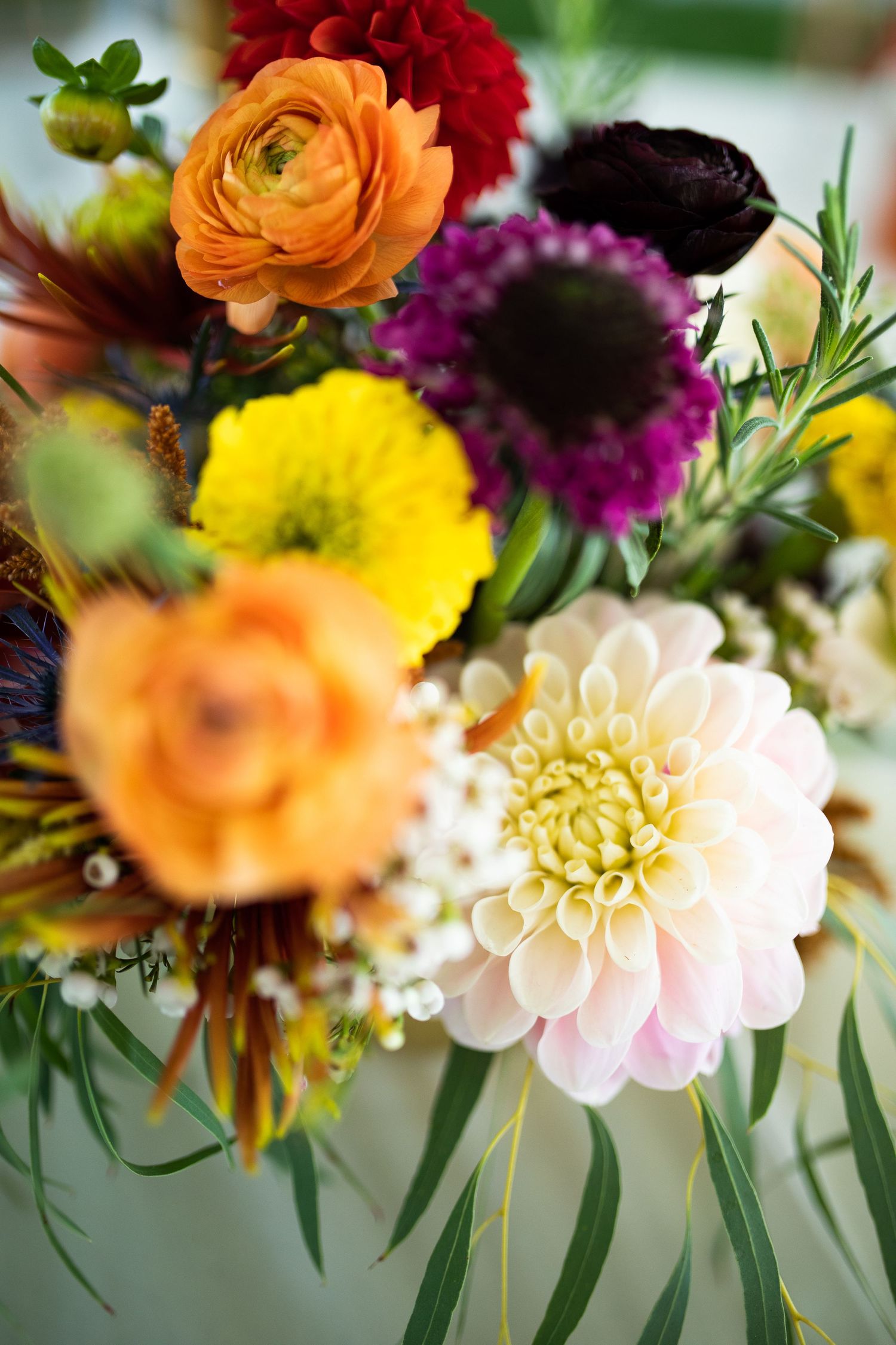 Vibrant wedding bouquet featuring orange ranunculus, yellow dahlias, purple flowers, and a blush dahlia bloom.