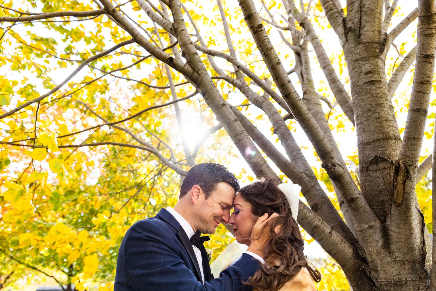 Bride and groom share a romantic moment under vibrant yellow autumn trees in golden sunlight.