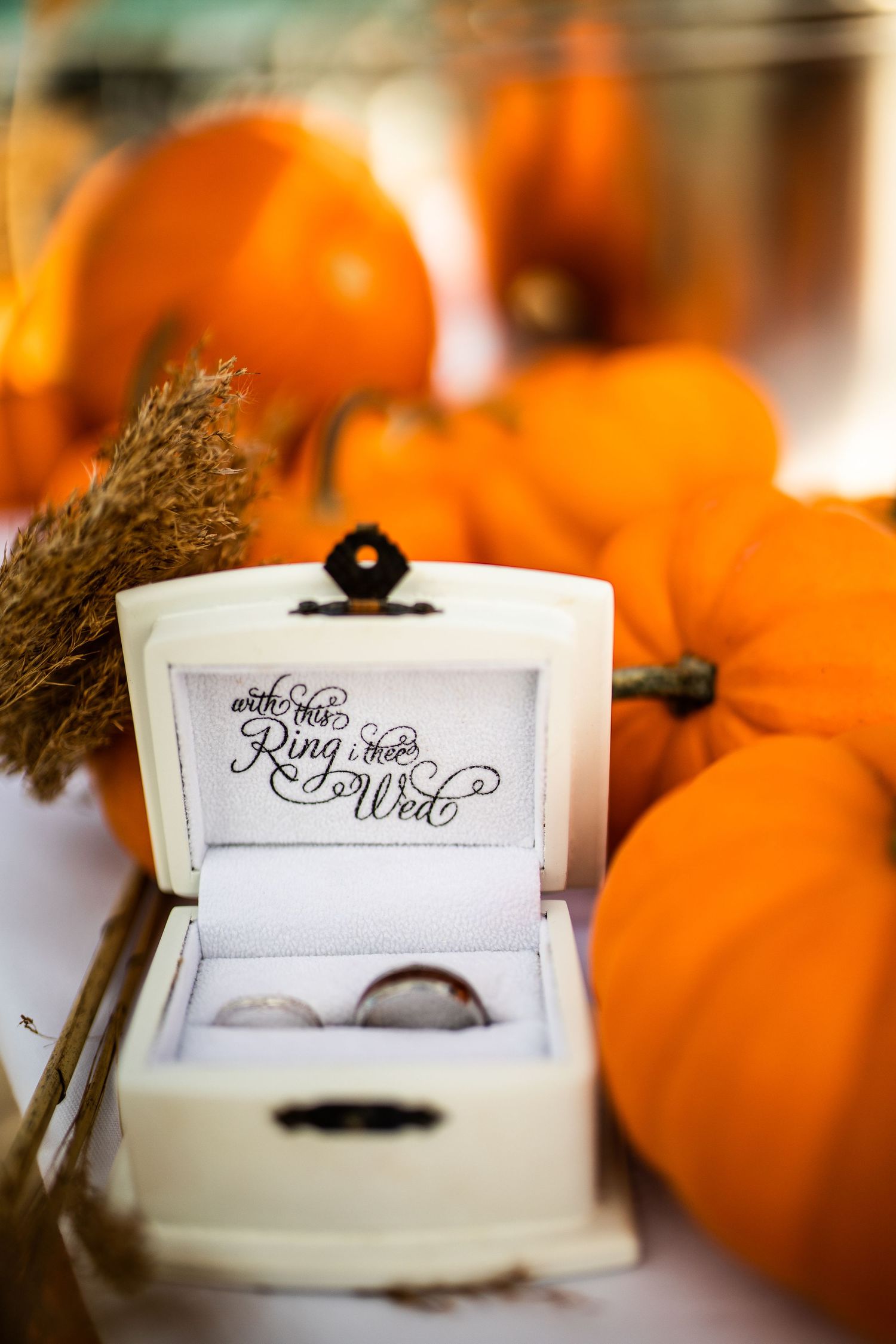 Wedding rings displayed in a white vintage box inscribed with the Ring I Wed surrounded by orange pumpkins.