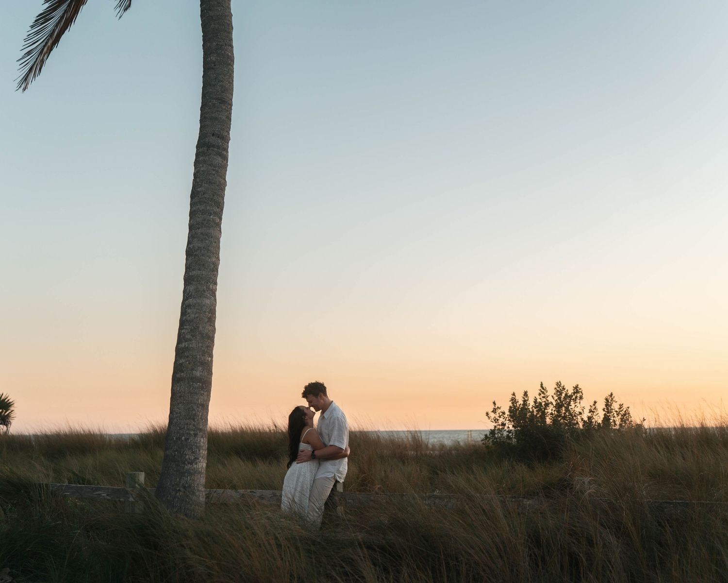 Couple embraces under a tall palm tree at sunset on a coastal grassy landscape.