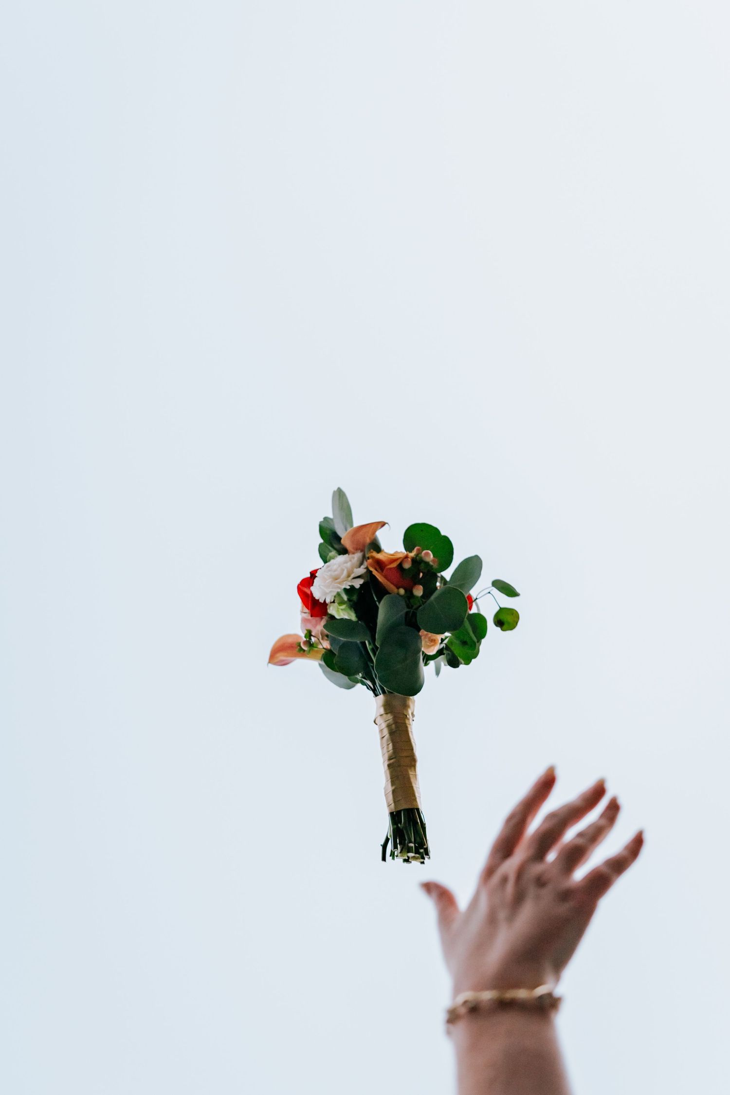 Bride tosses colorful wedding bouquet with red and white flowers into the air.