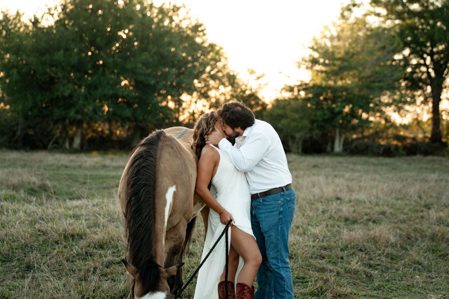 Bride and groom sharing a kiss beside a horse at golden hour in a rustic field.