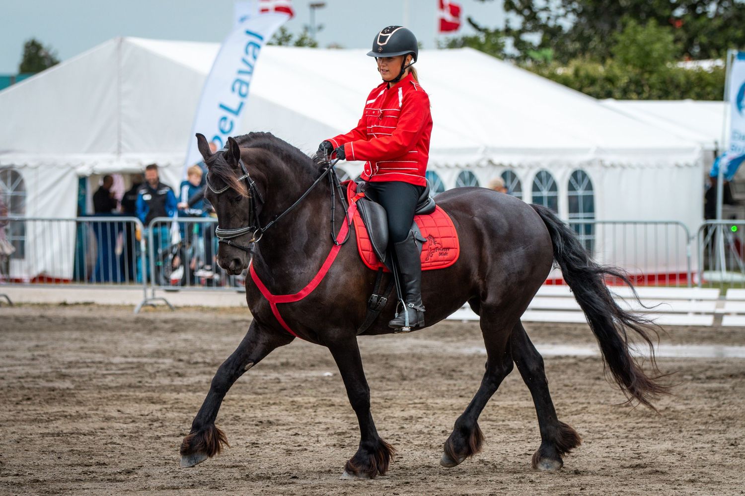 Rider in red jacket on black horse trotting in sandy arena at equestrian event with white tents.