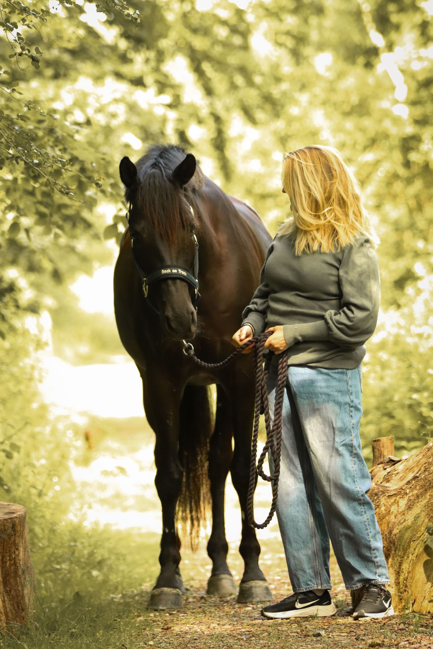Blonde woman in jeans holding reins of a dark brown horse on a sunlit forest path.