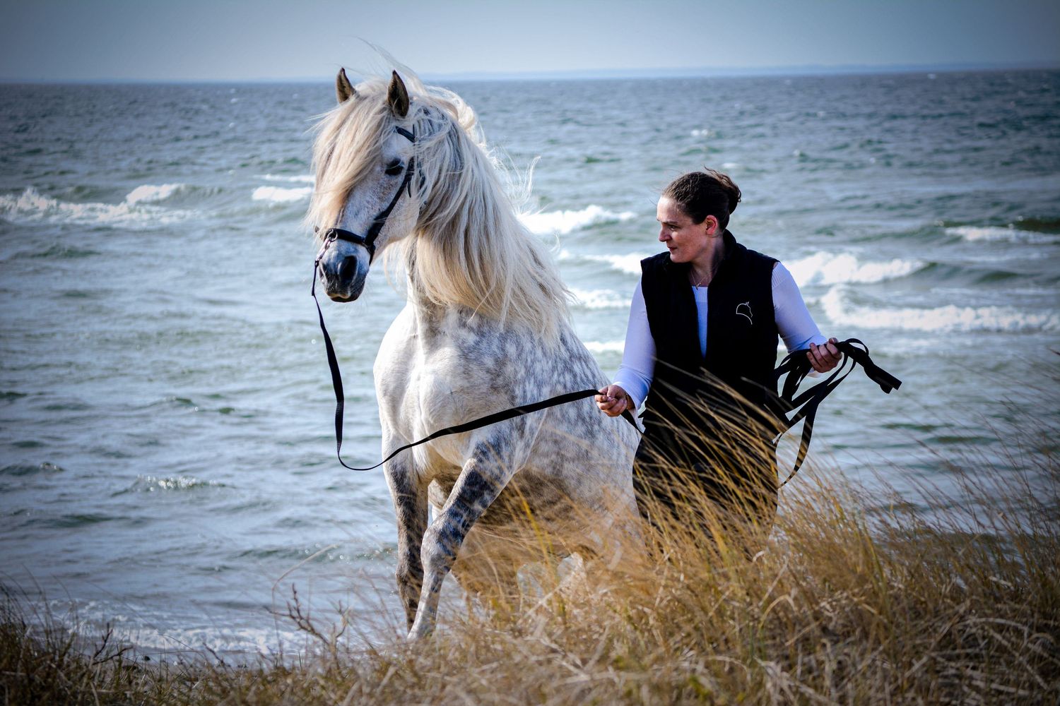Man leading a white horse along a scenic ocean beach shoreline.
