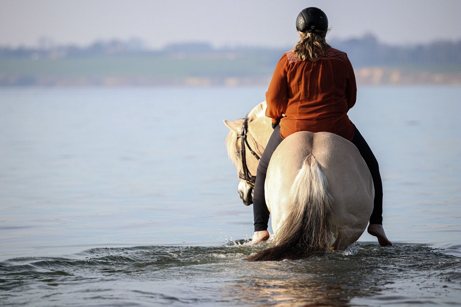 Horse rider in orange jacket wading a white horse through shallow ocean water from behind.