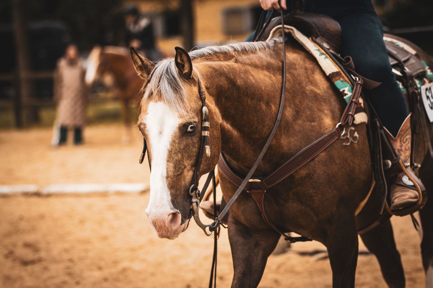 Side profile of a chestnut horse with a white blaze wearing a bridle and western saddle in an arena.