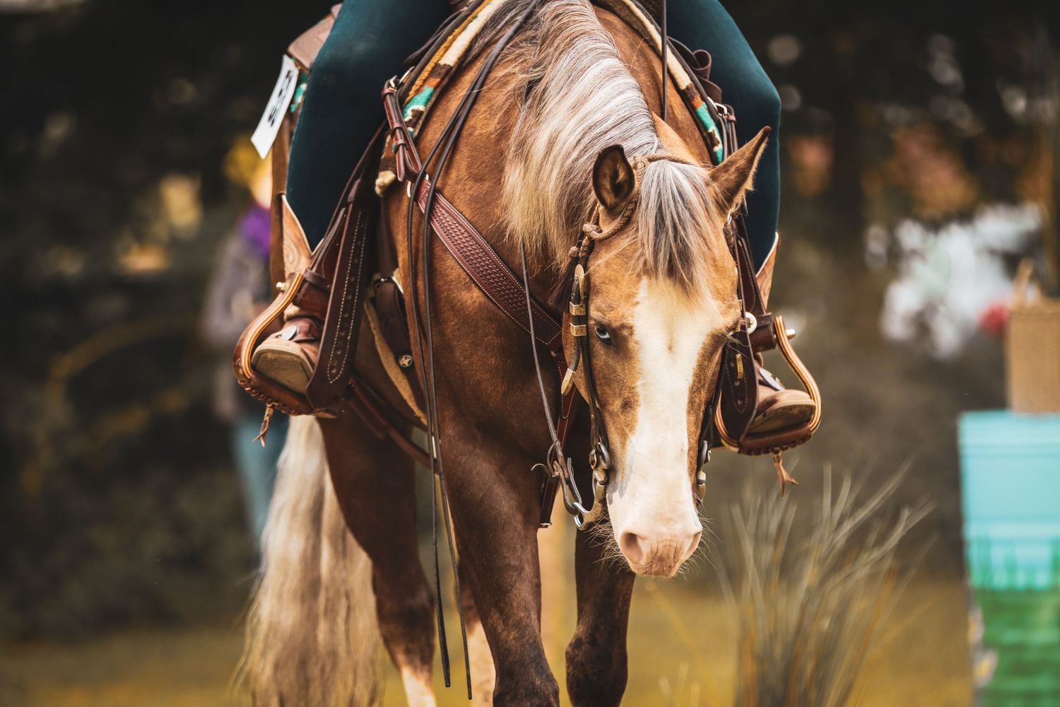 Close-up front view of a chestnut horse with a flaxen mane wearing a bridle during a riding event.
